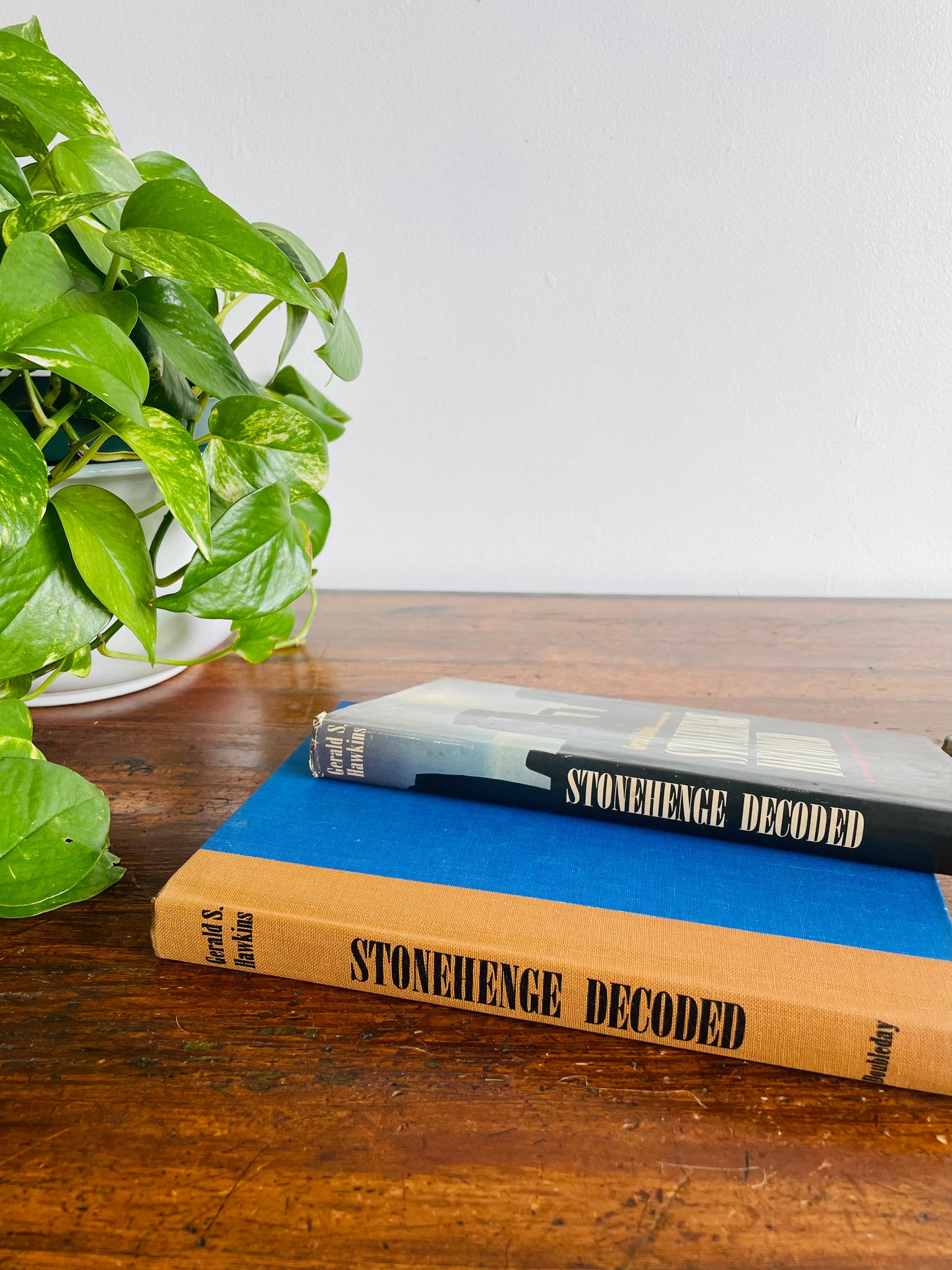 The Suspicious Book Bundle for Suspicious People - Dictionary of Earth Mysteries, Loch Ness Monster & Stonehenge Decoded - Set of 3 Books