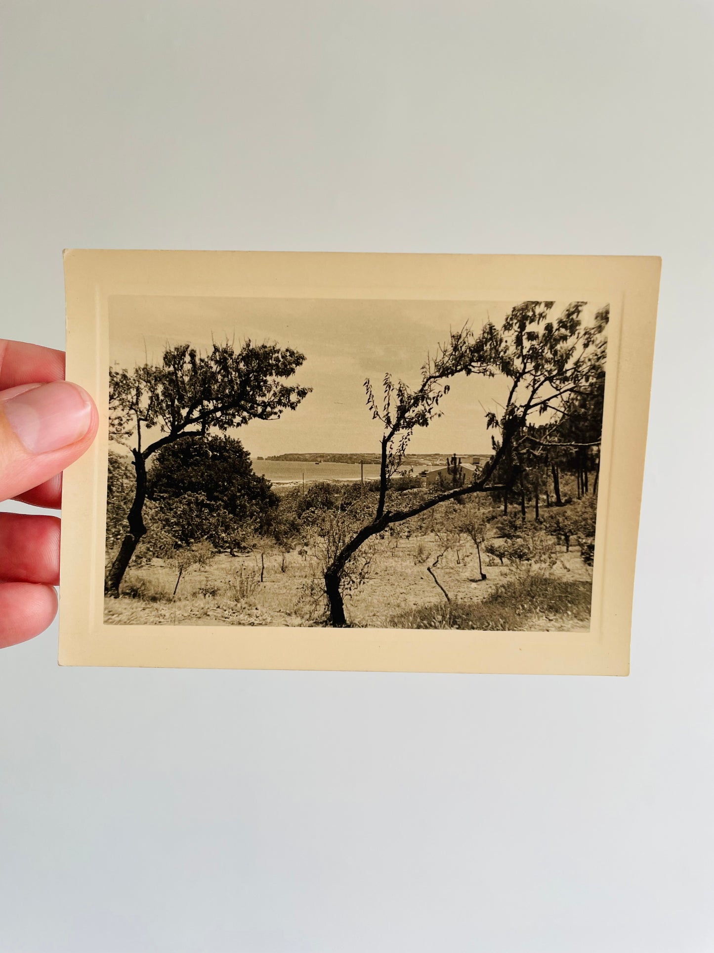 Black & White Photograph - View of Lagos Bay Summer 1953 - Found in Lisbon, Portugal