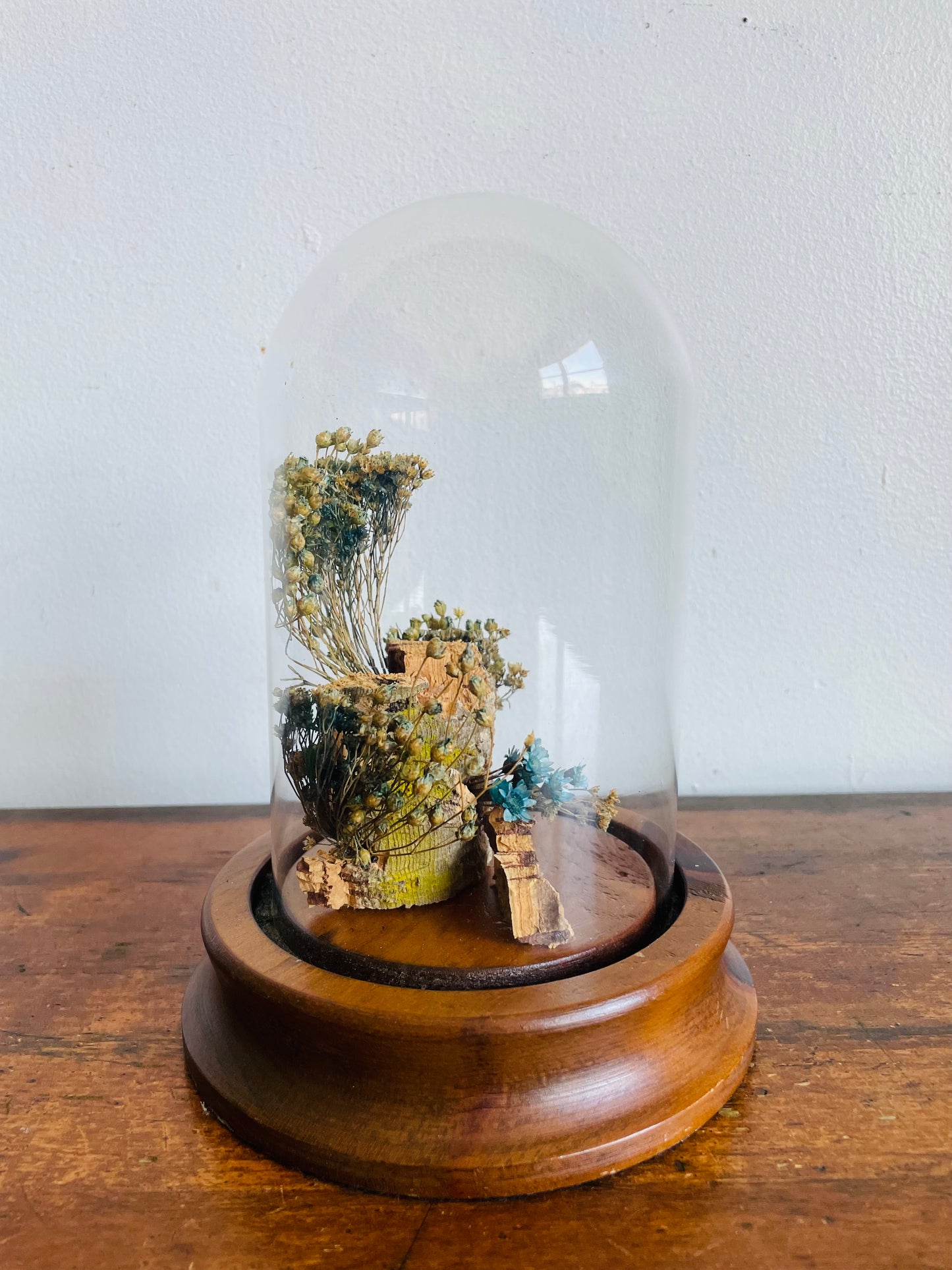 Vintage Glass Terrarium Cloche Dome on Wood Base with Dried Flower Display - Nature Decor