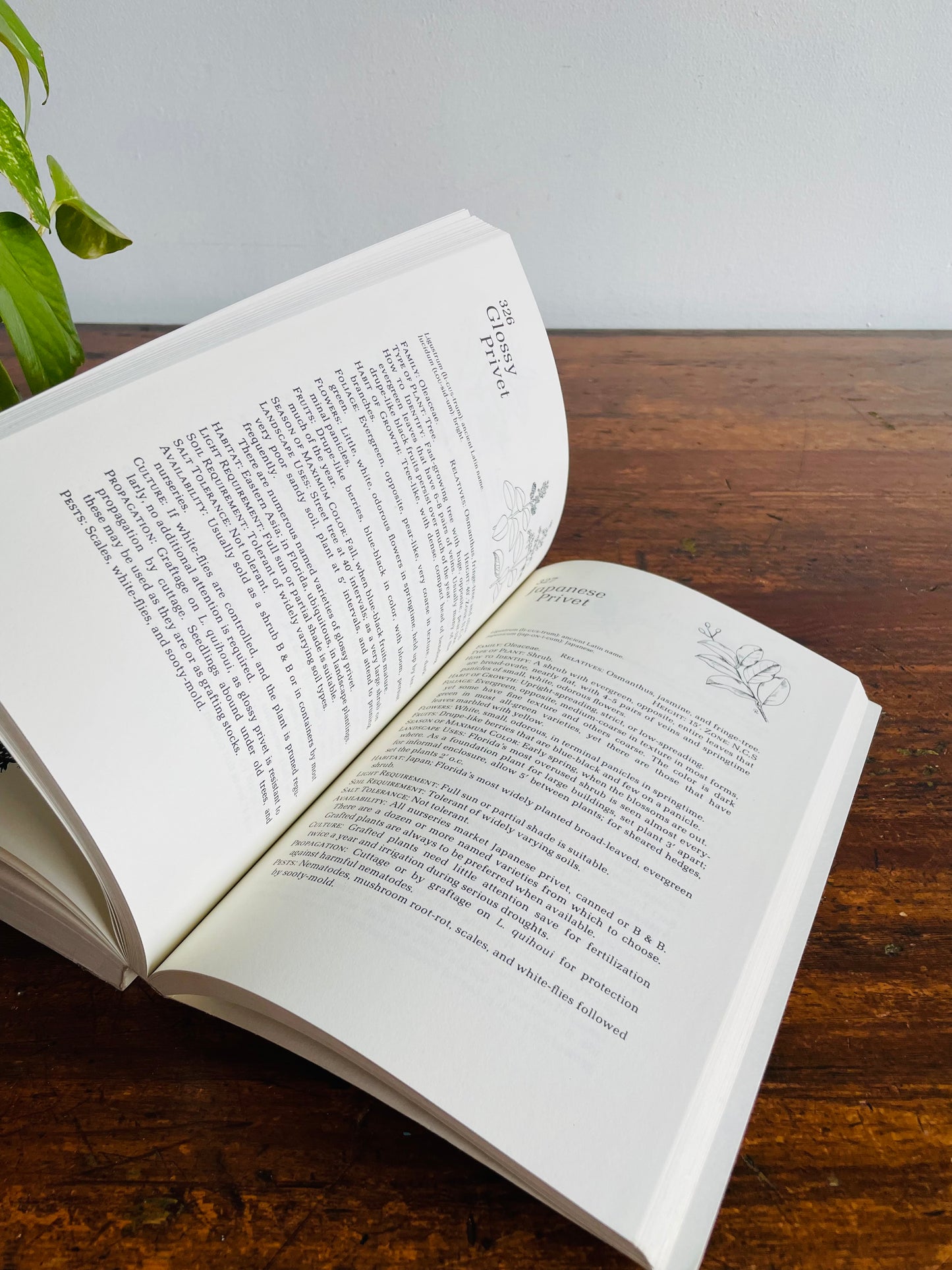 Florida Landscape Plants Native & Exotic by John V. Watkins & Thomas J. Sheehan Paperback Book (1975)