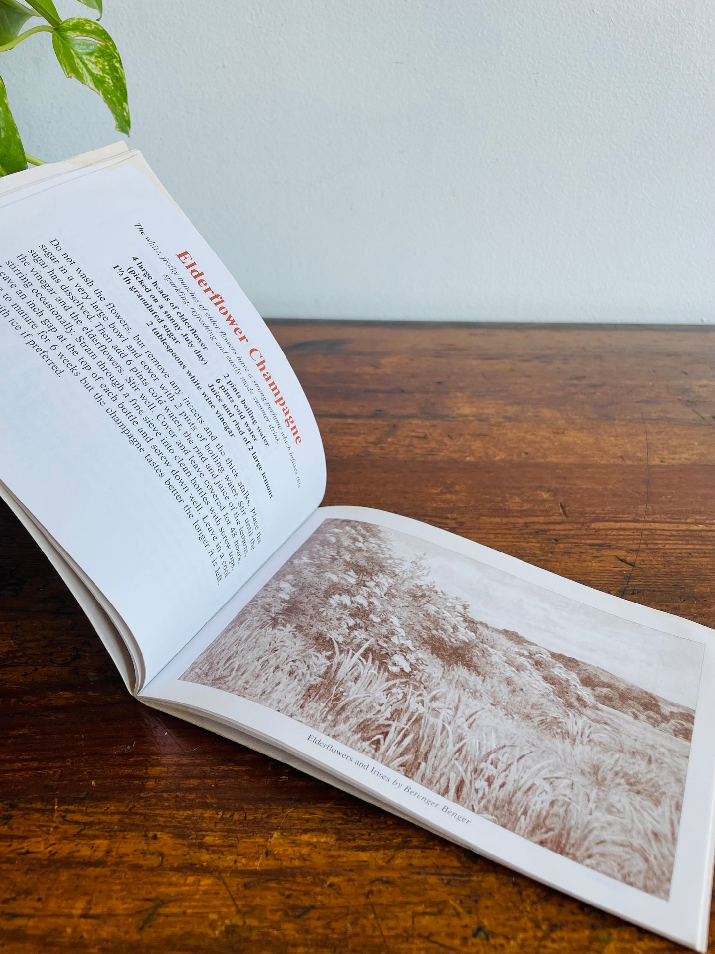 Favourite Harvest Recipes Pocket Cookbook - Traditional Seasonal Fare
