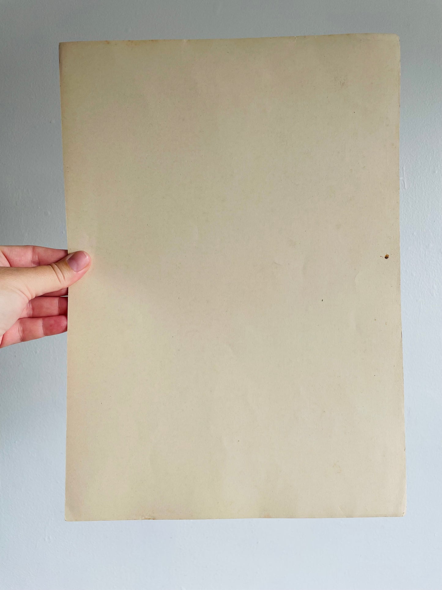 Gothic Architecture of Spain Page Print from Book # 2 - Found in Lisbon, Portugal