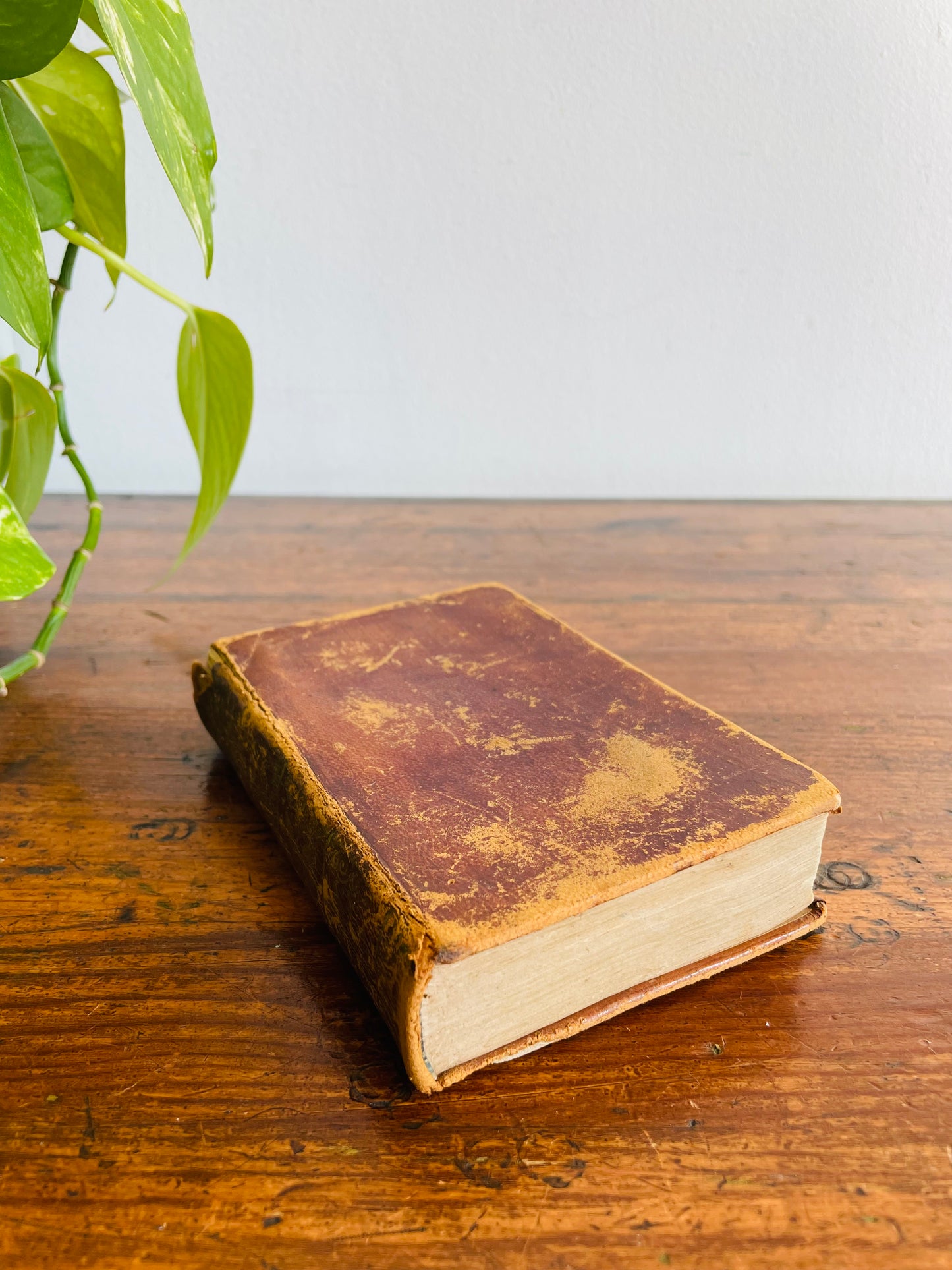 Antique Bunyan's Pilgrim's Progress Leather Book (1844) - Edited by Rev. T. Scott, M.A. - Case, Tiffany and Co. Print