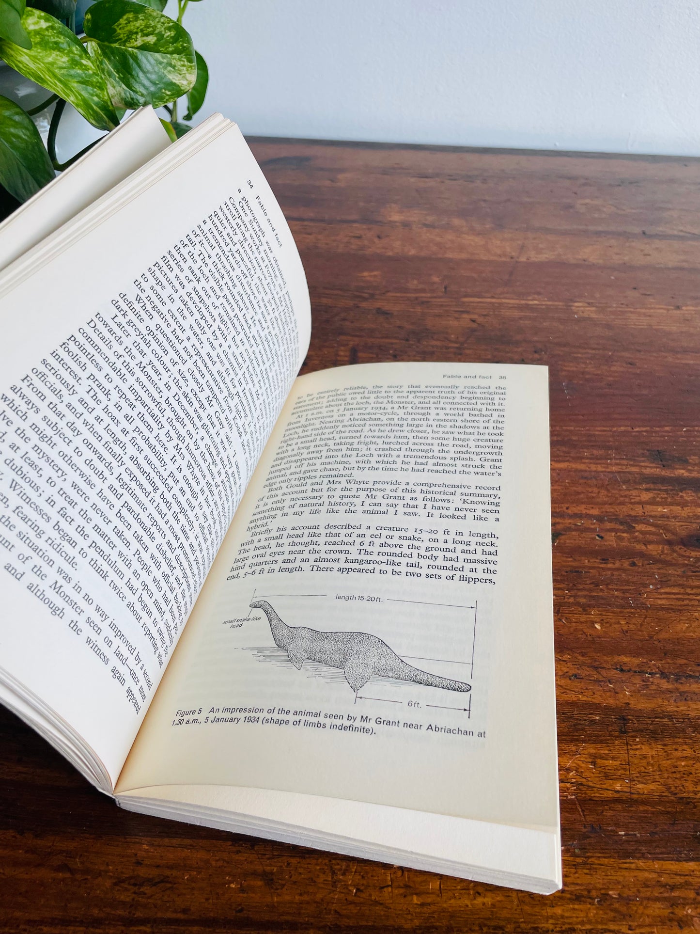 The Suspicious Book Bundle for Suspicious People - Dictionary of Earth Mysteries, Loch Ness Monster & Stonehenge Decoded - Set of 3 Books
