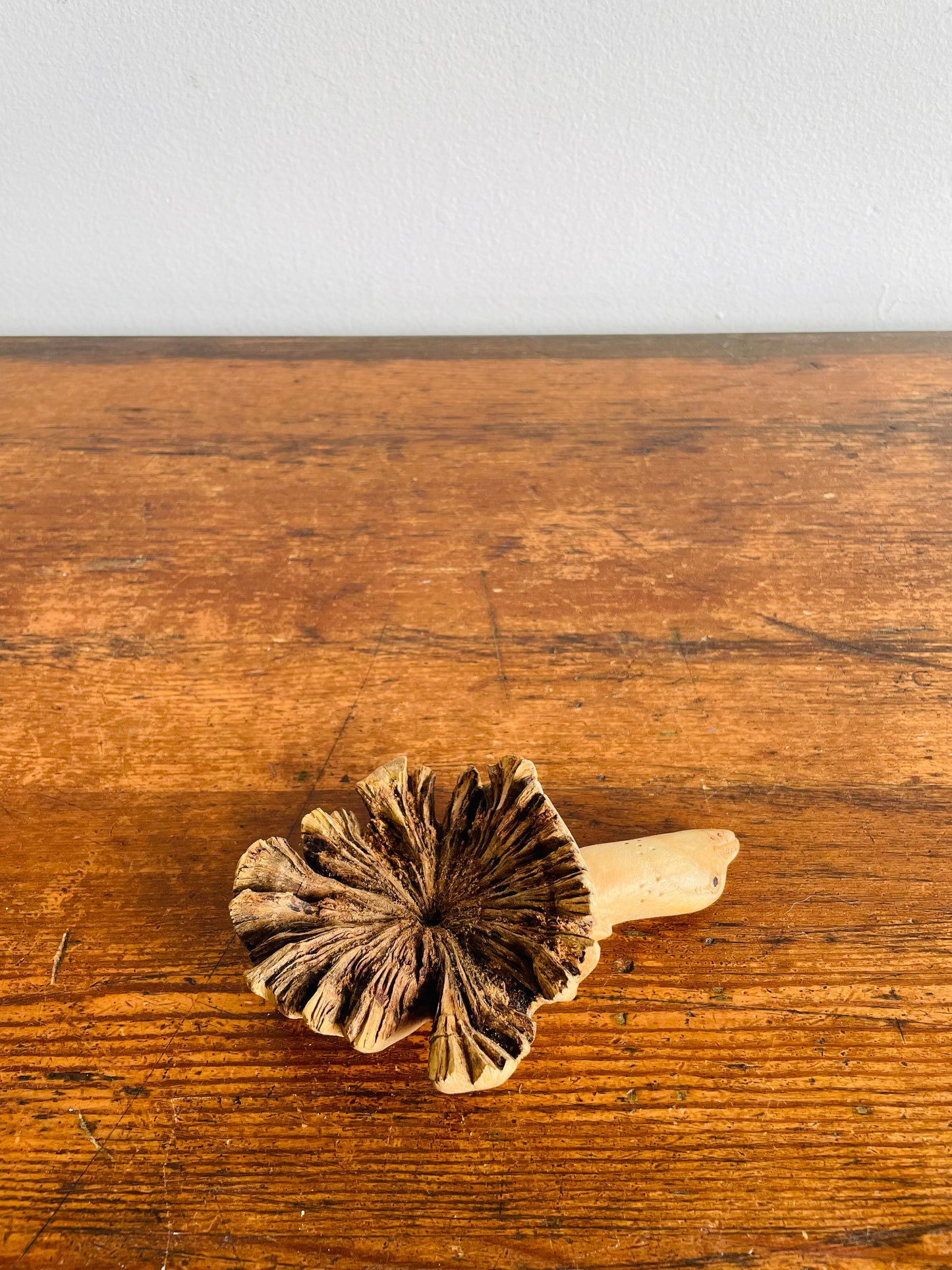 Hand Carved Wooden Turtle Sculpture Figurine