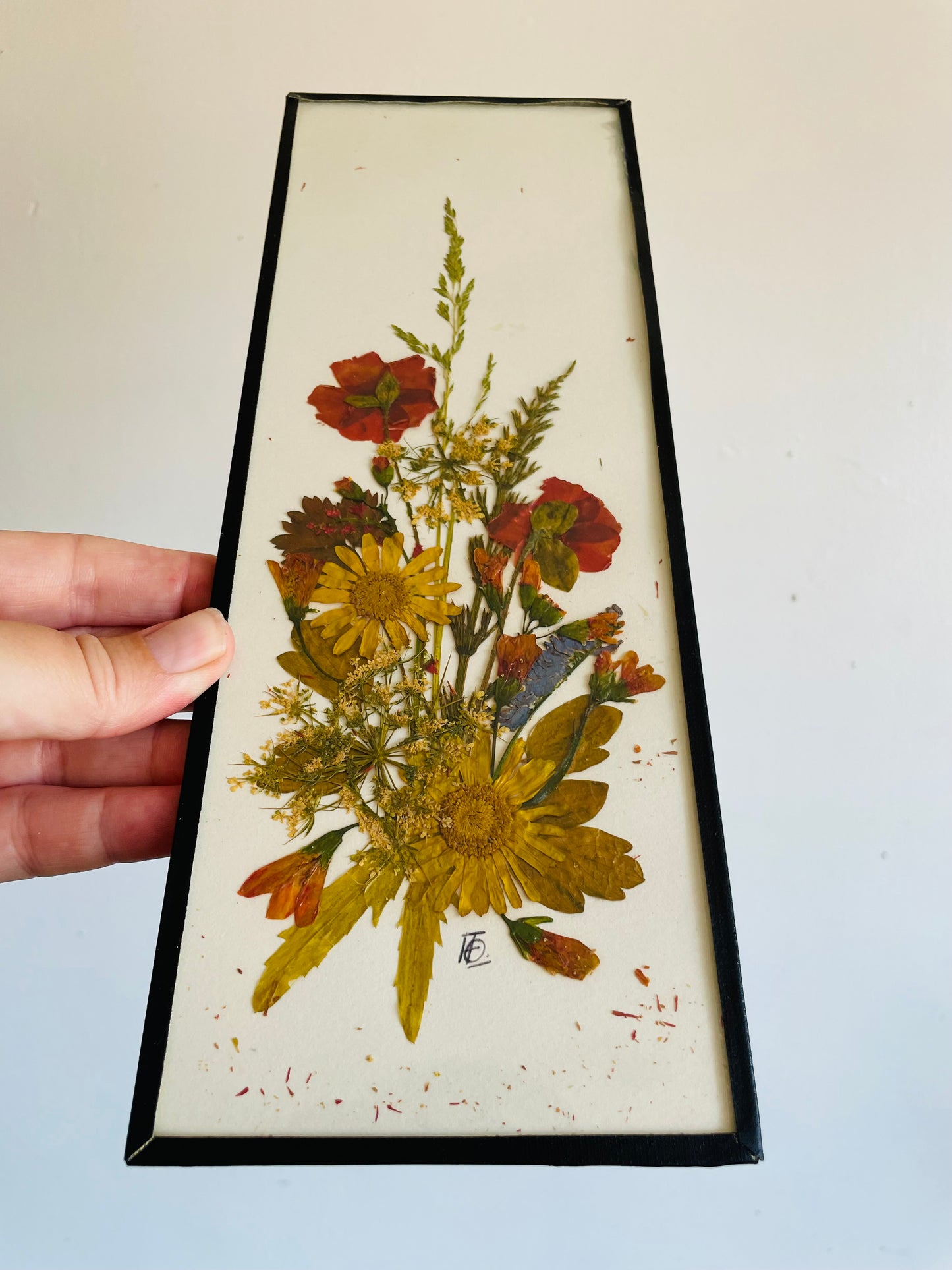 Vintage Canadian Wildflowers Meadowcharm Pressed Dried Flowers Picture - Artist Signed - Made in Canada