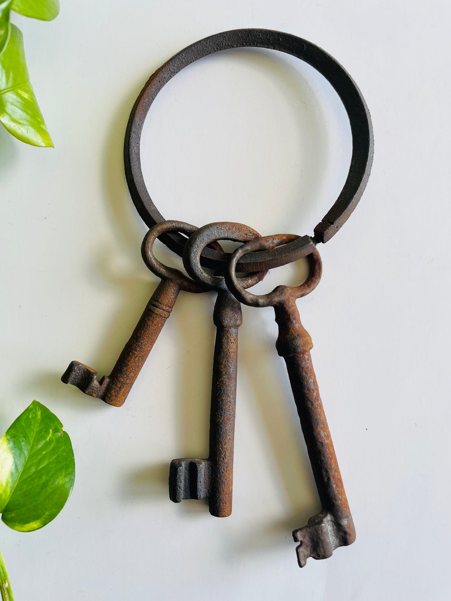 Cast Iron Oversized Set of 3 Skeleton Keys on Ring Holder