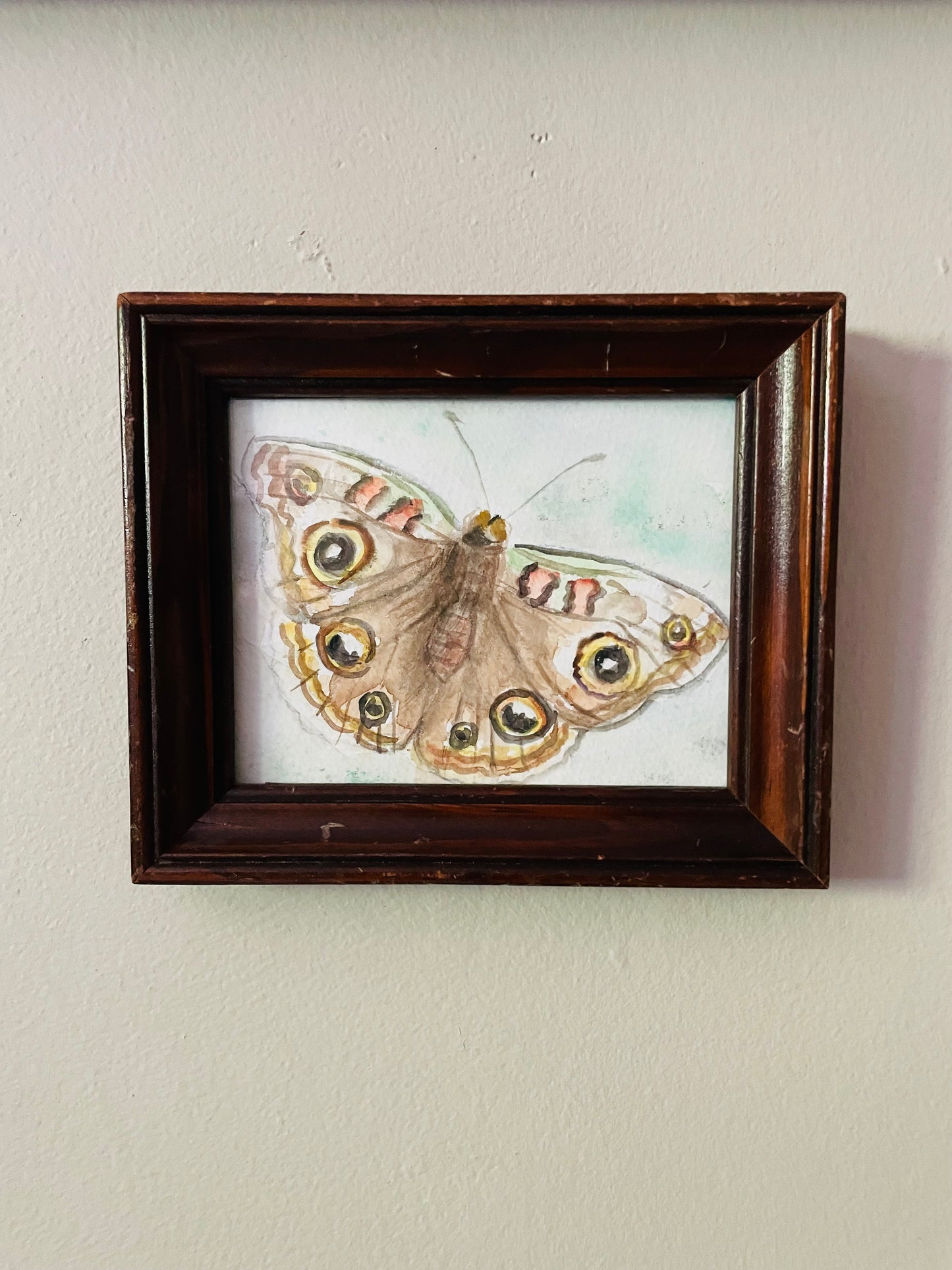 Original Art - Small Watercolour Painting of a Moth