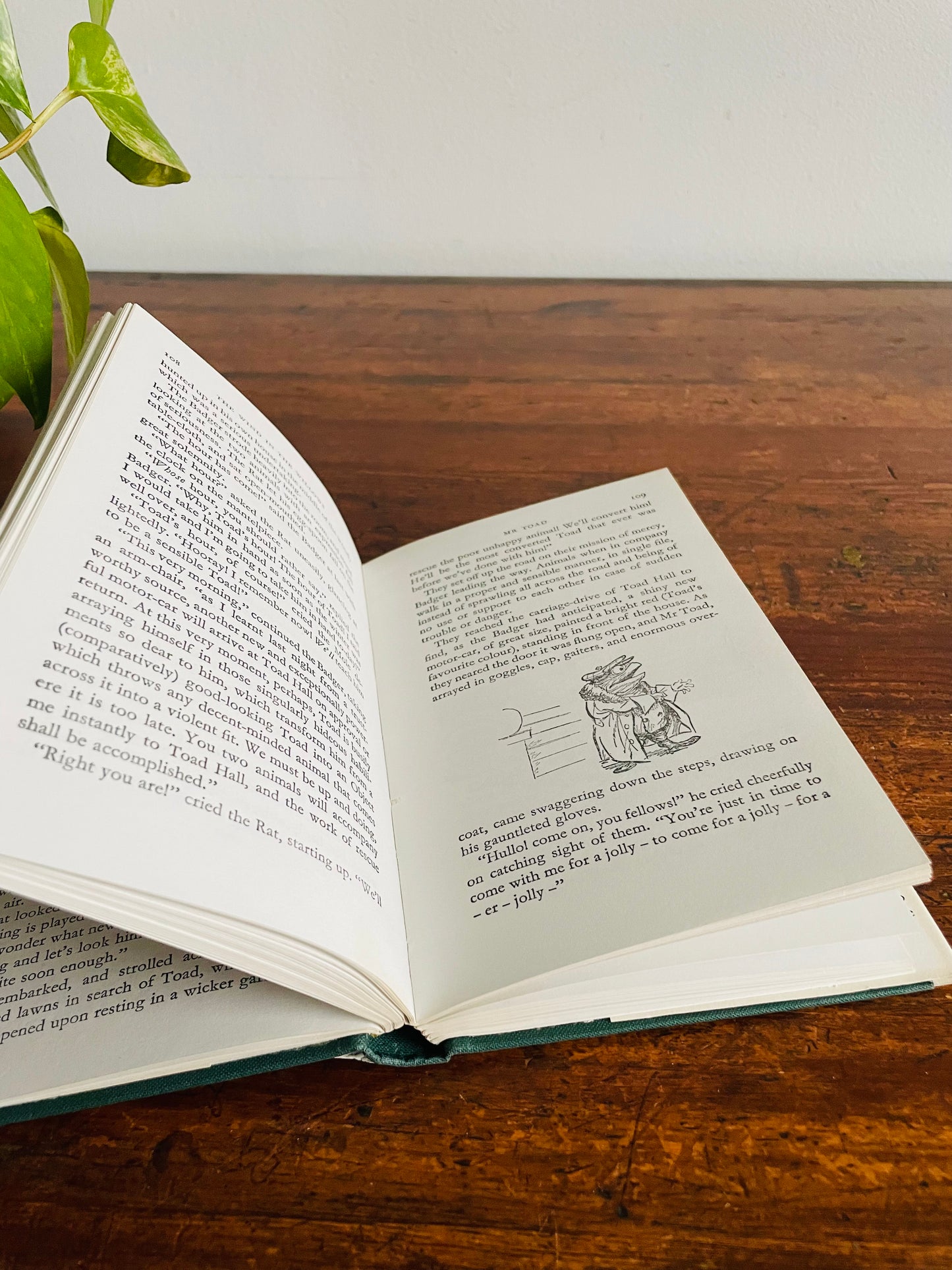 The Wind in the Willows by Kenneth Grahame Hardcover Book (1965)