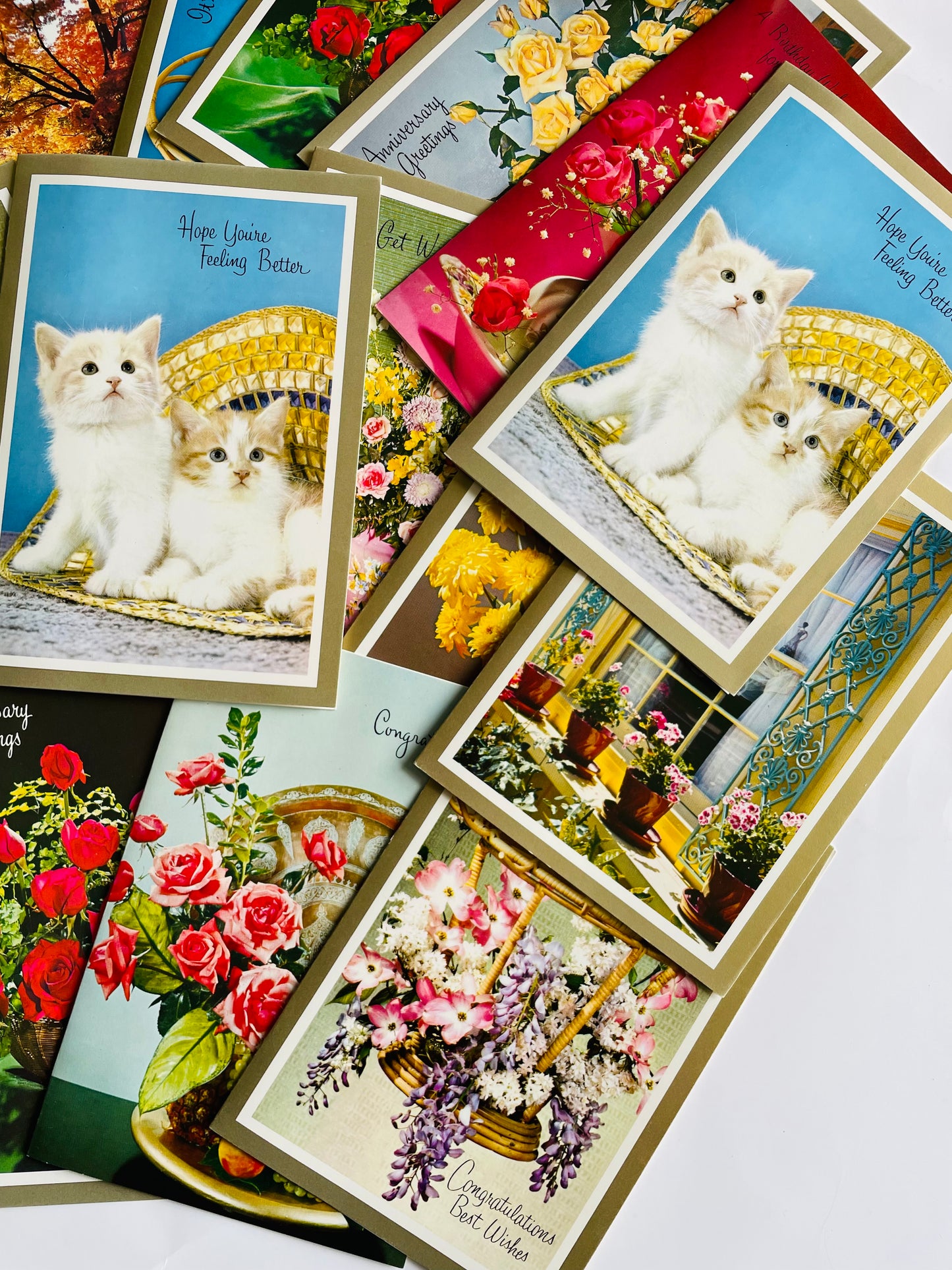 Vintage Box of Unused Assorted Greeting Cards for All Occasions - Floral, Kitten & Nature Theme - Set of 18 with Envelopes