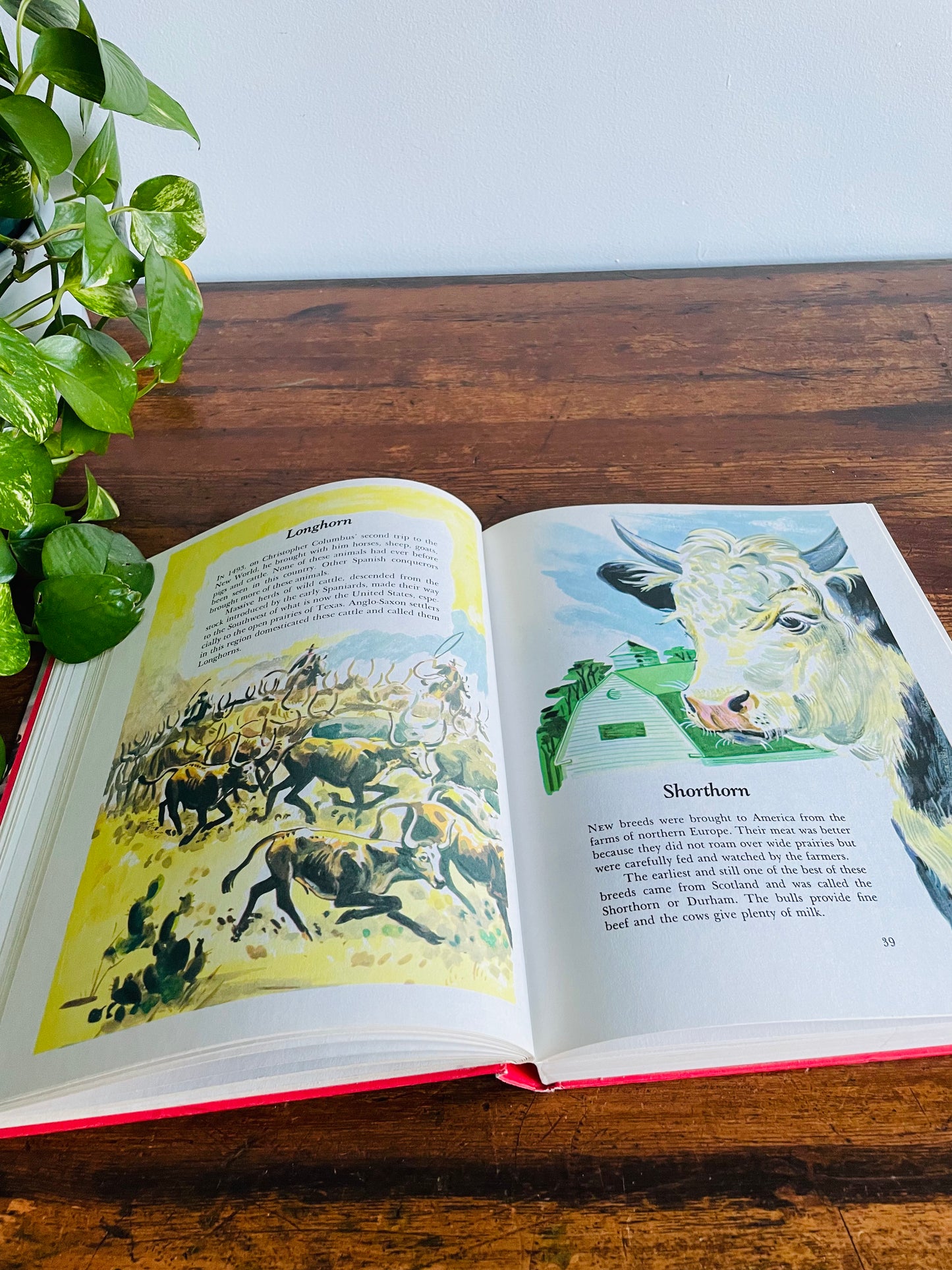 Wonders of Nature: A Child's Introduction to the World of Animals, Plants, Birds, Fish & Insects Hardcover Book by Parents' Magazine Press (1974)