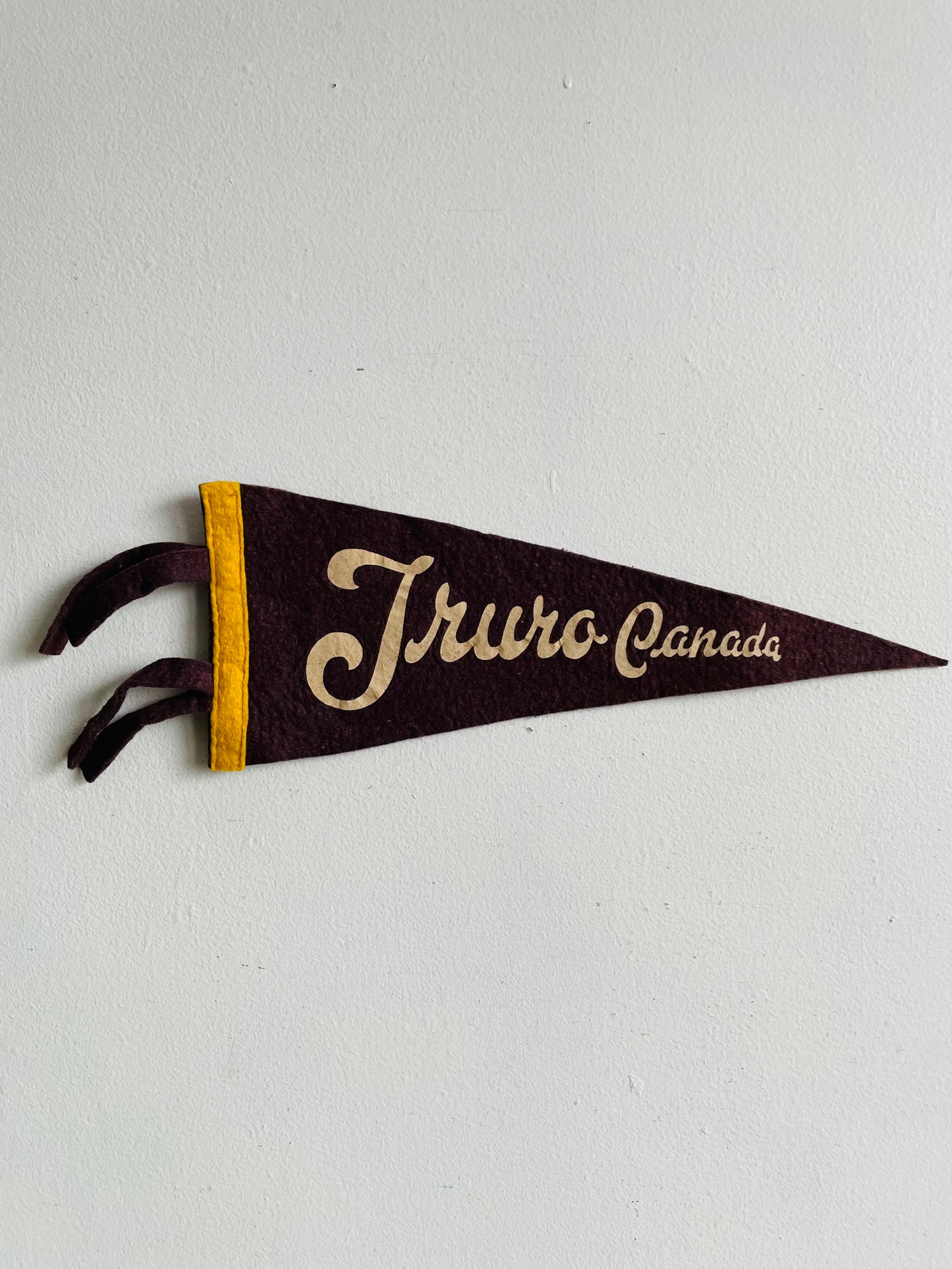 Truro Canada Nova Scotia Felt Flag Pennant