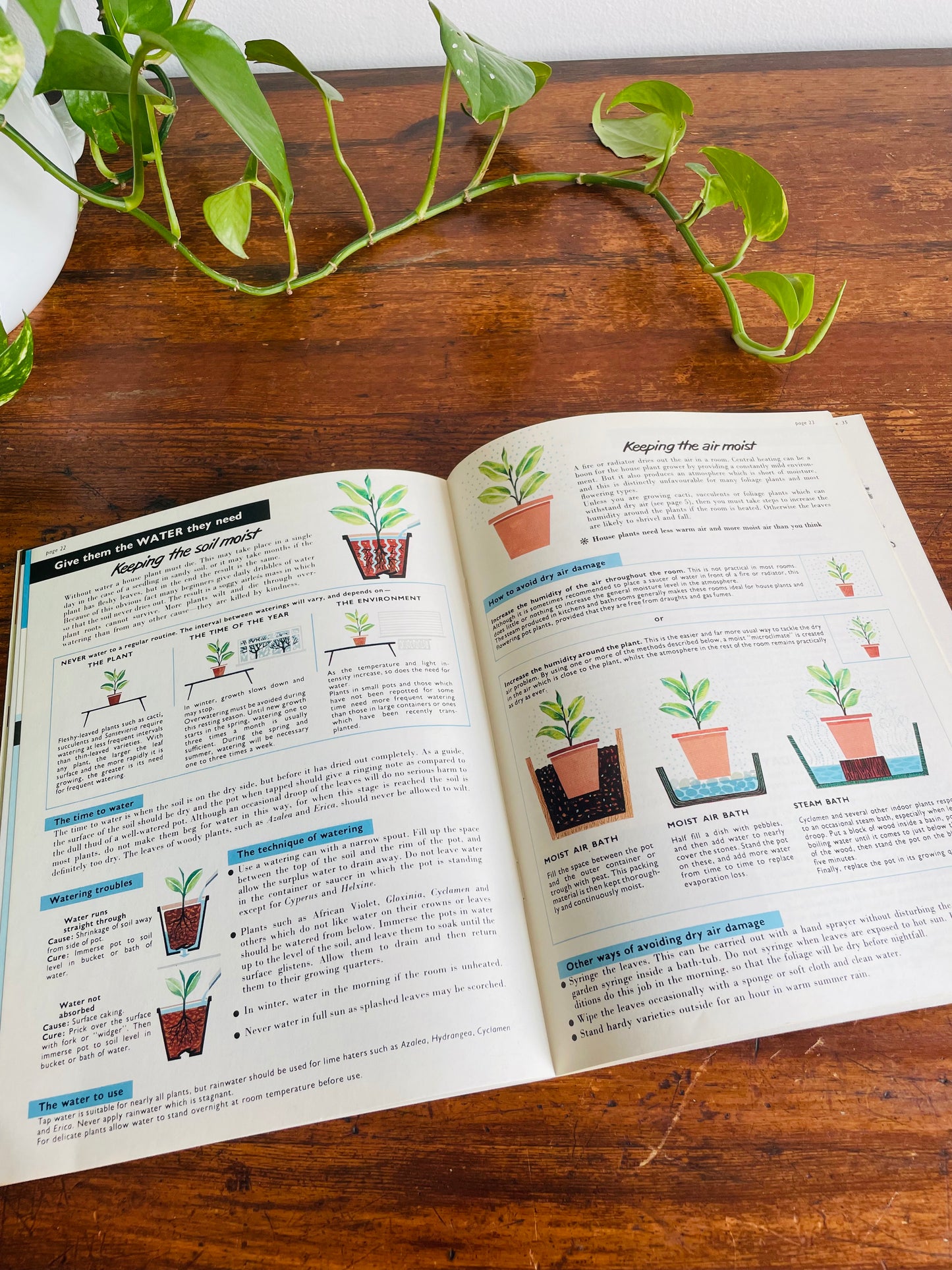 Be Your Own House Plant Expert Book by Dr. D.G. Hessayon (1975)