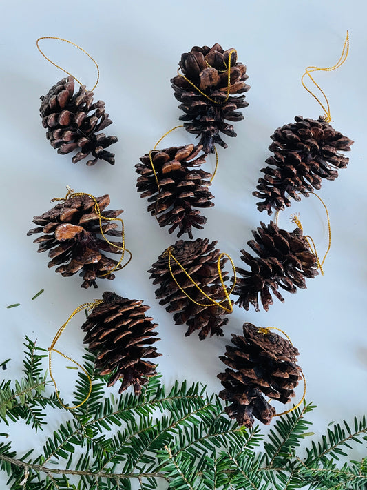 Pinecone Ornaments - Set of 9