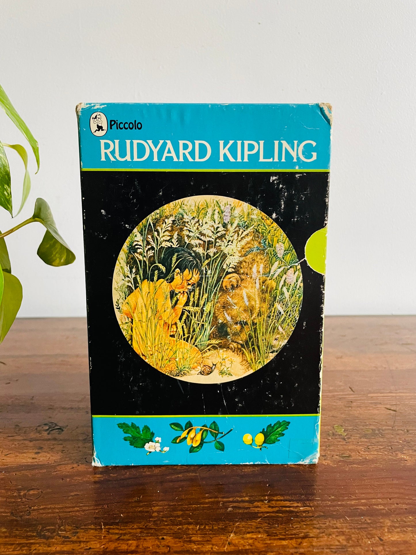 Rudyard Kipling Paperbook Book Box Set - The Jungle Book, The Second Jungle Book, Just So Stories, Puck of Pook's Hill & Rewards and Fairies (1975)