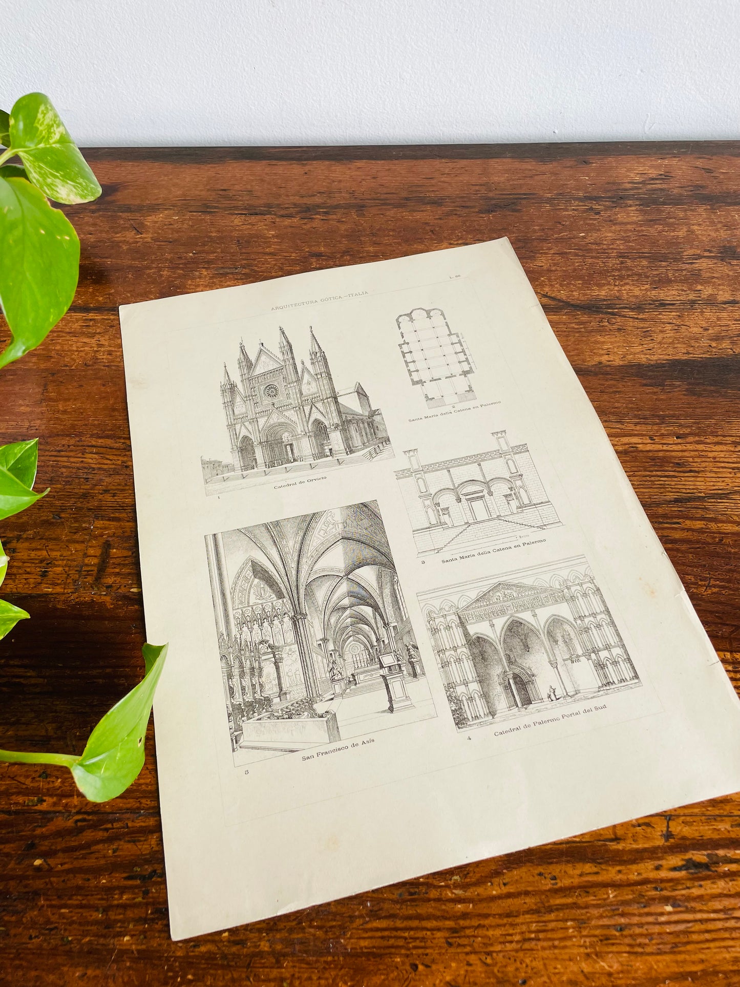 Gothic Architecture of Italy Page Print from Book - Found in Lisbon, Portugal