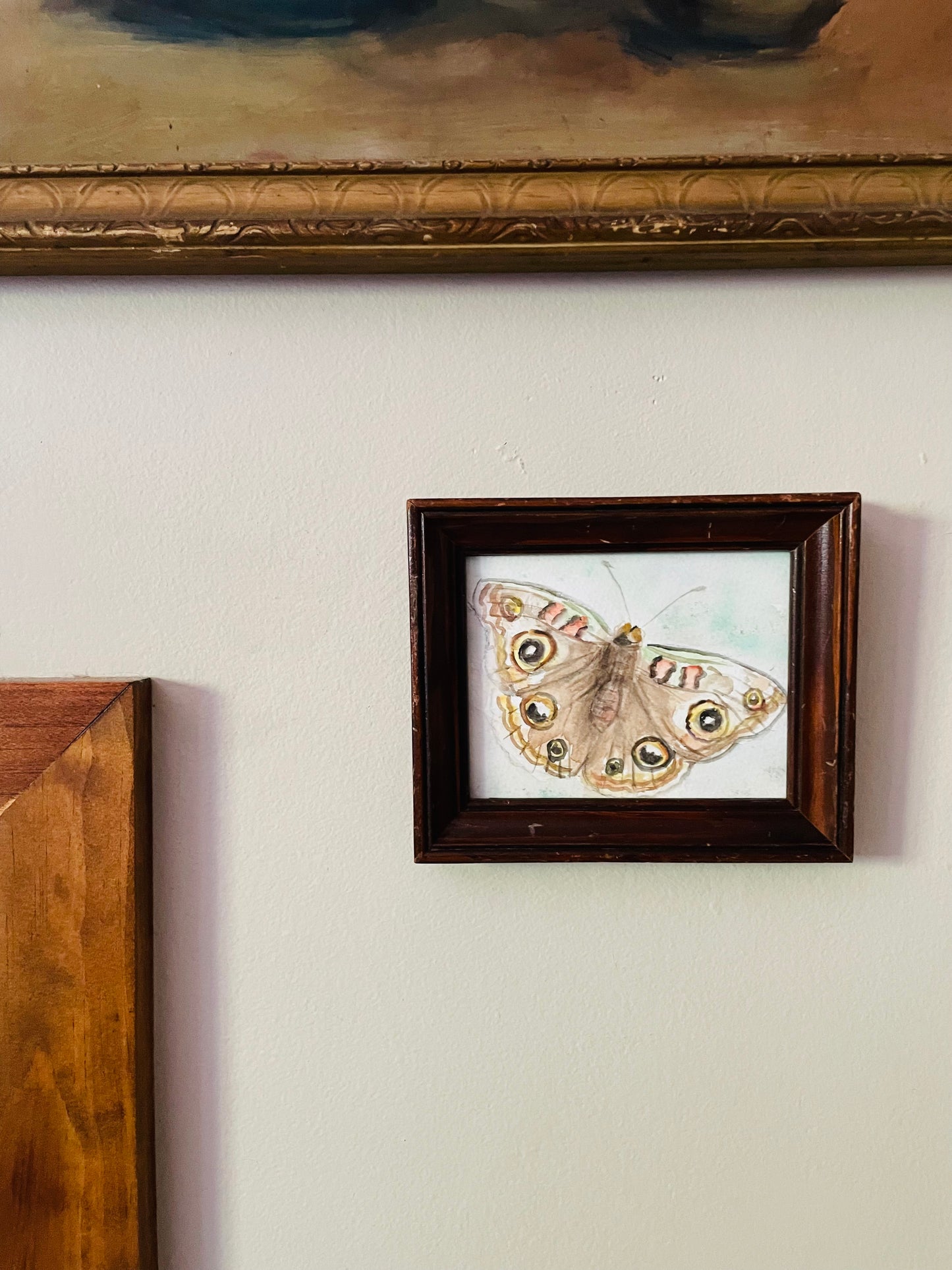 Original Art - Small Watercolour Painting of a Moth