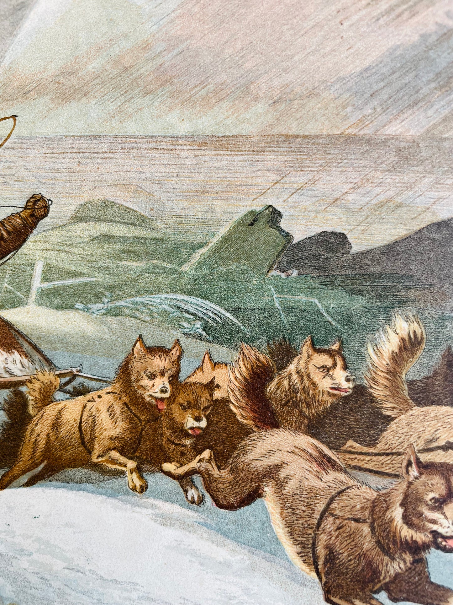 Vintage Lithograph Print Picture - "Wonderful Escape on the Breaking Up of the Ice" with Dog Sled Team in Arctic - Kronheim and Co., London