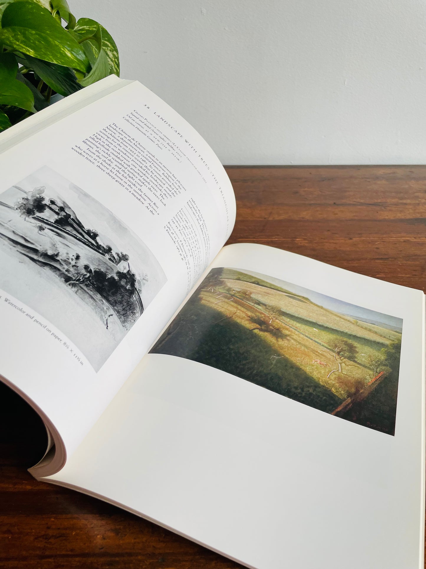 Balthus Book by Sabine Rewald and The Metropolitan Museum of Art New York (1984)