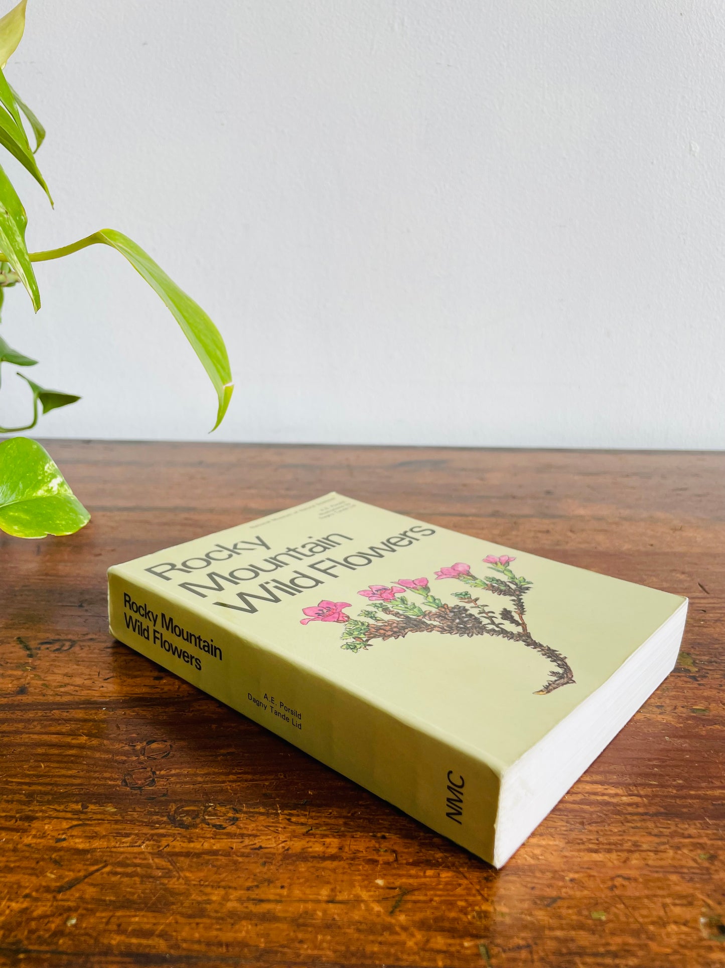 Rocky Mountain Wild Flowers Book (1979) By A.E. Porsild with Illustrations by Dagny Tande Lid