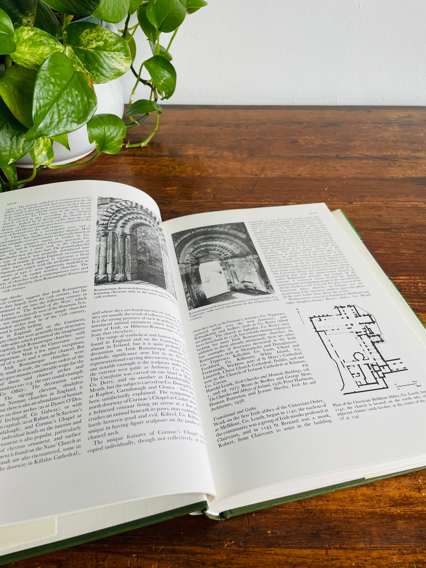 Ireland: A Cultural Encyclopedia Hardcover Book (1983)