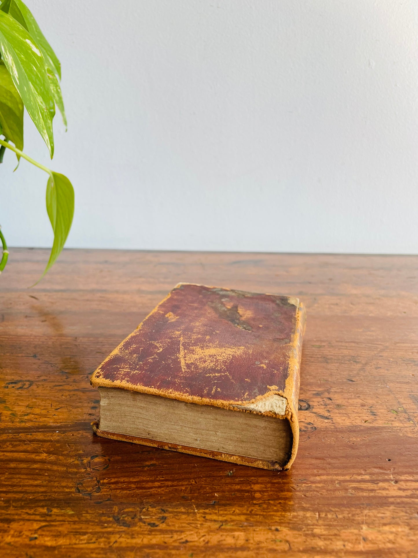 Antique Bunyan's Pilgrim's Progress Leather Book (1844) - Edited by Rev. T. Scott, M.A. - Case, Tiffany and Co. Print