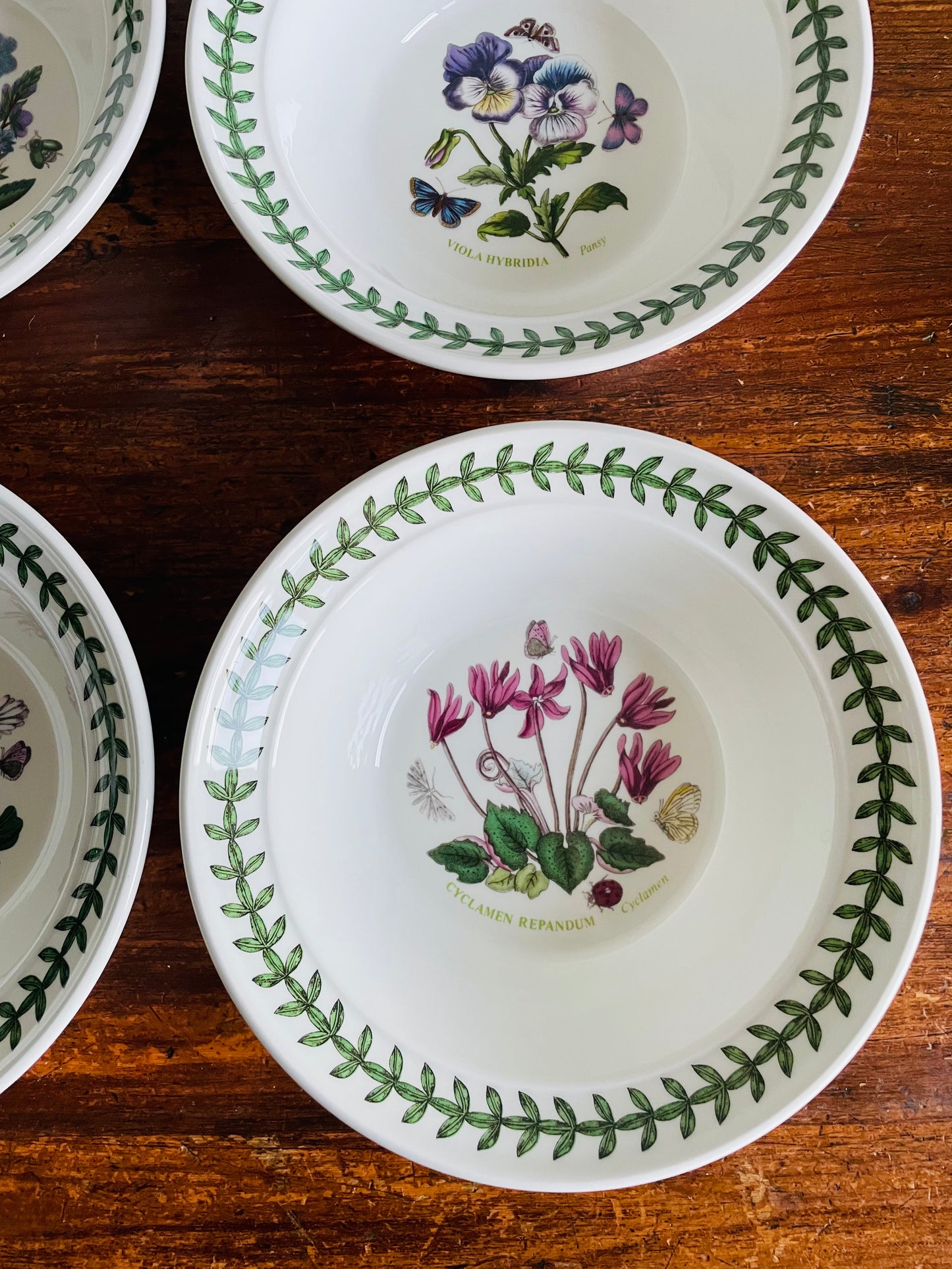 Portmeirion Susan Williams-Ellis Botanic Garden 6.5" Bowls - Set of 6 - Made in Britain