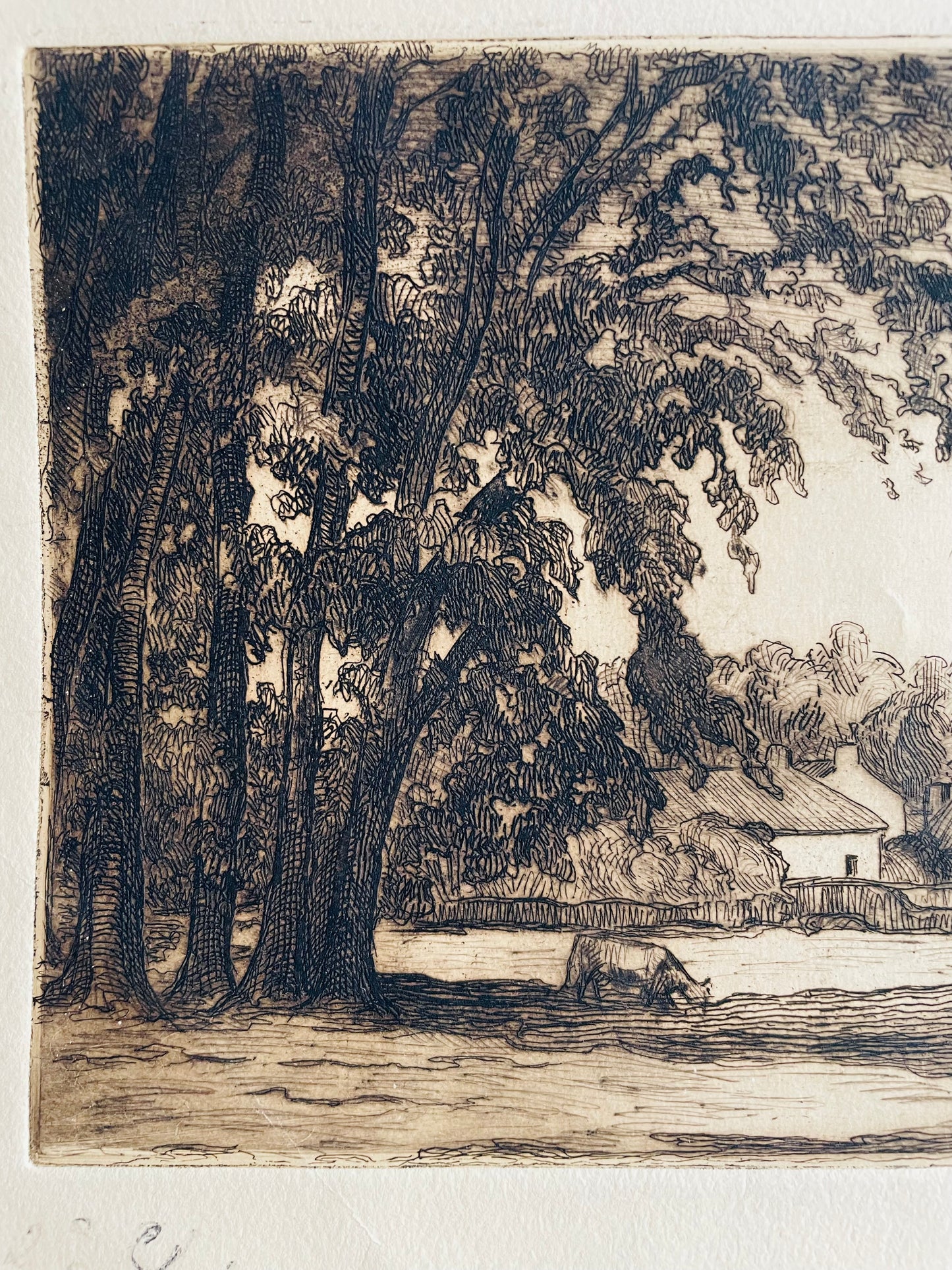 Etched Picture of Cow Grazing Under Tree with Town & Steeple in Background - Artist Signed