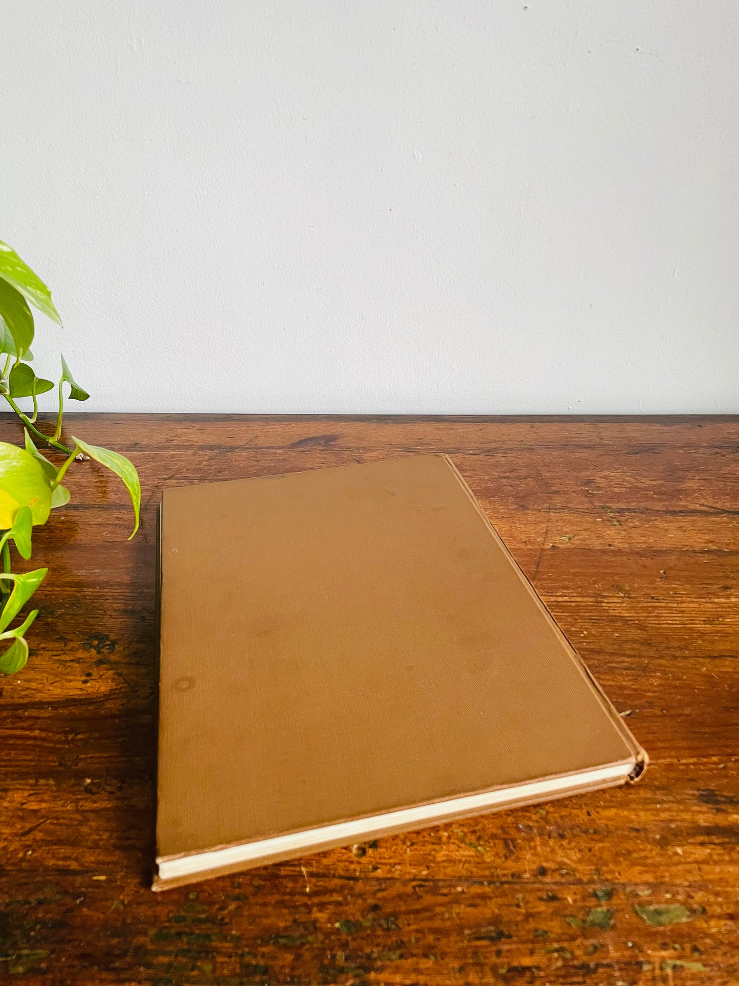 Vintage The World of Mushrooms Hardcover Coffee Table Book - Adapted from the Italian of Uberto Tosco (1973)