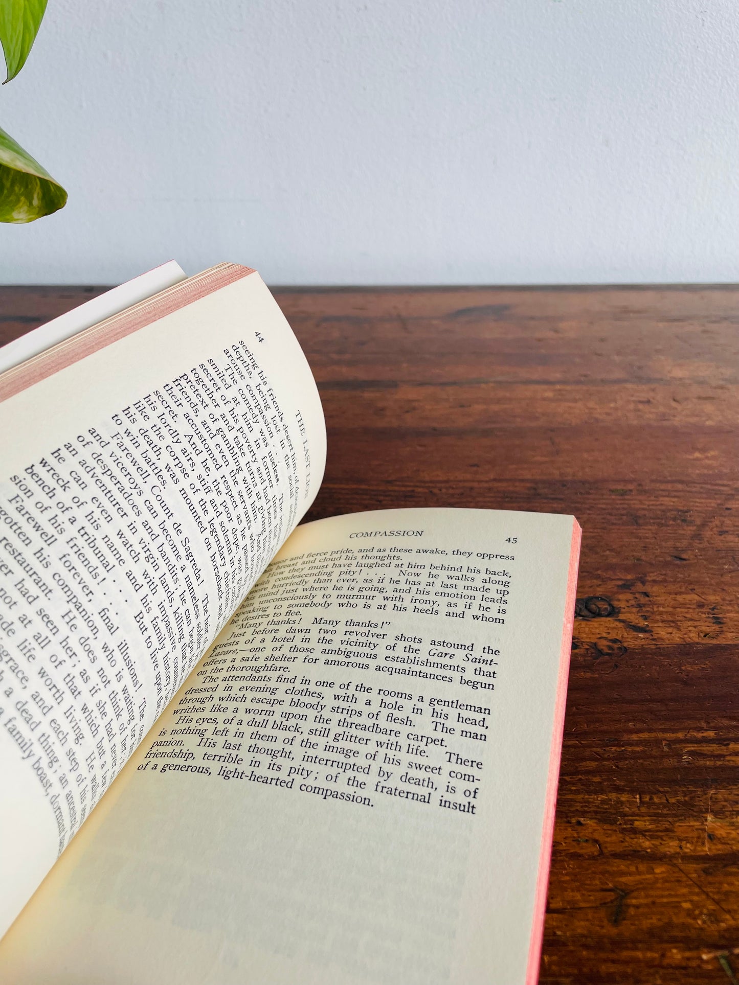 The Last Lion and Other Tales by Vicente Blasco Ibanez Paperback Book (1919)