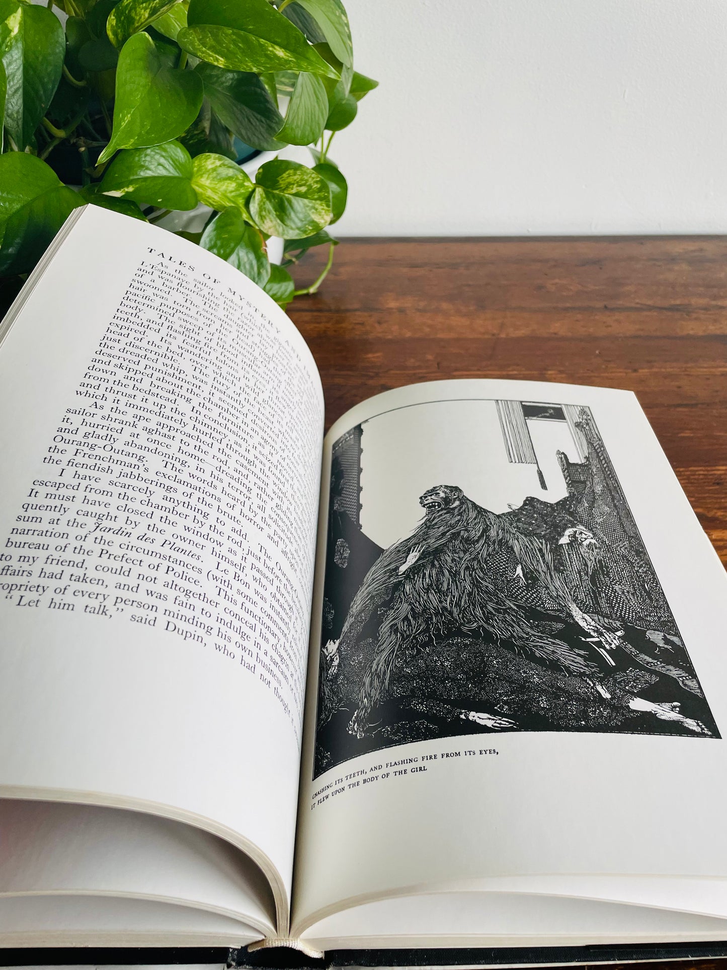 Tales of Mystery and Imagination by Edgar Allan Poe Hardcover Book Illustrated by Harry Clarke
