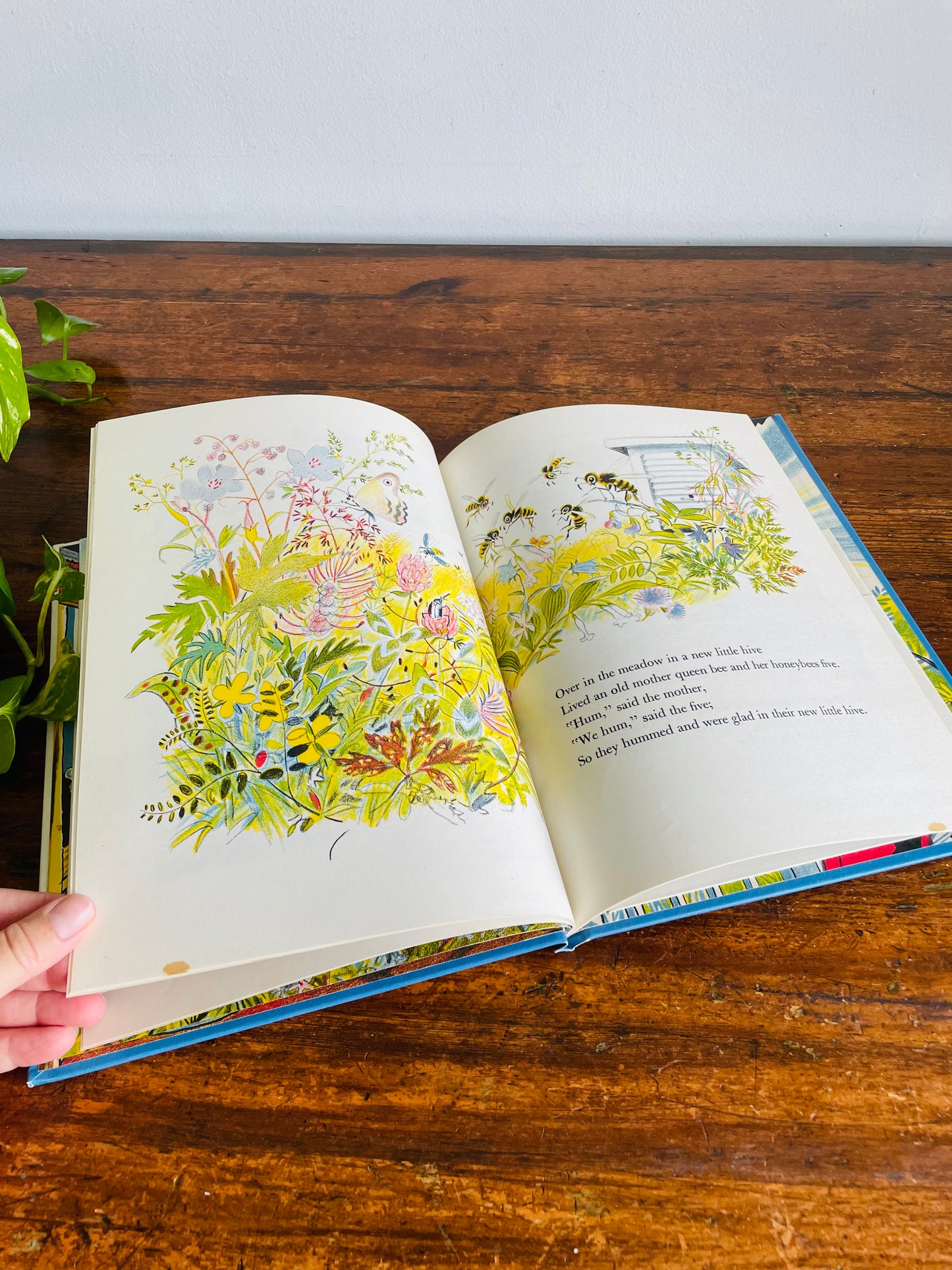 Over in the Meadow Hardcover Children's Book by John Langstaff & Illustrated by Feodor Rojankovsky - Includes Vinyl Record (1957)