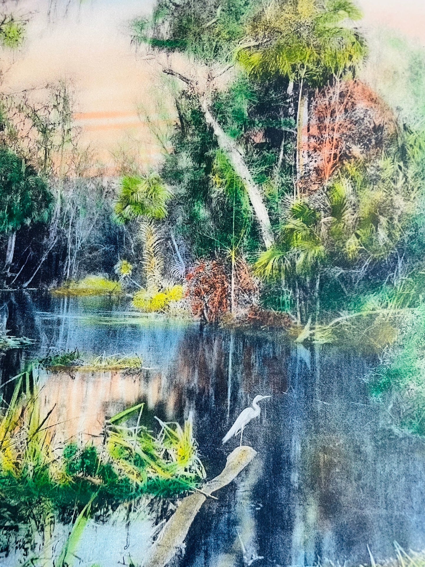 Vintage 1920s/30s Hand-Tinted Photogravure Picture - "On The Ocklawaha River Fla." by William James Harris - Old Florida River with Egret Bird