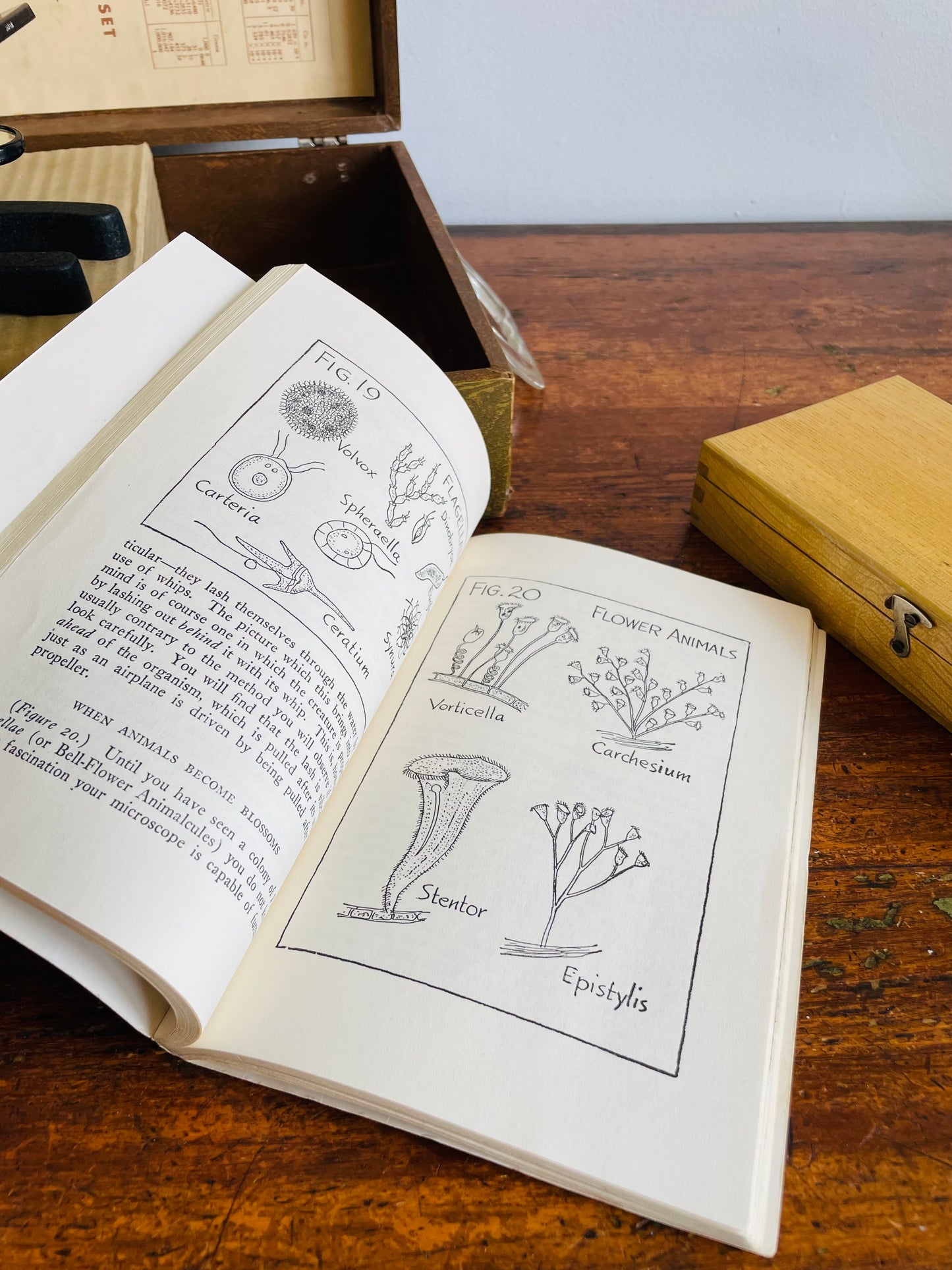 1956 SPI No. 1827 Deluxe Microscope Set in Carry Case - Includes Slides & Book - Made in Japan
