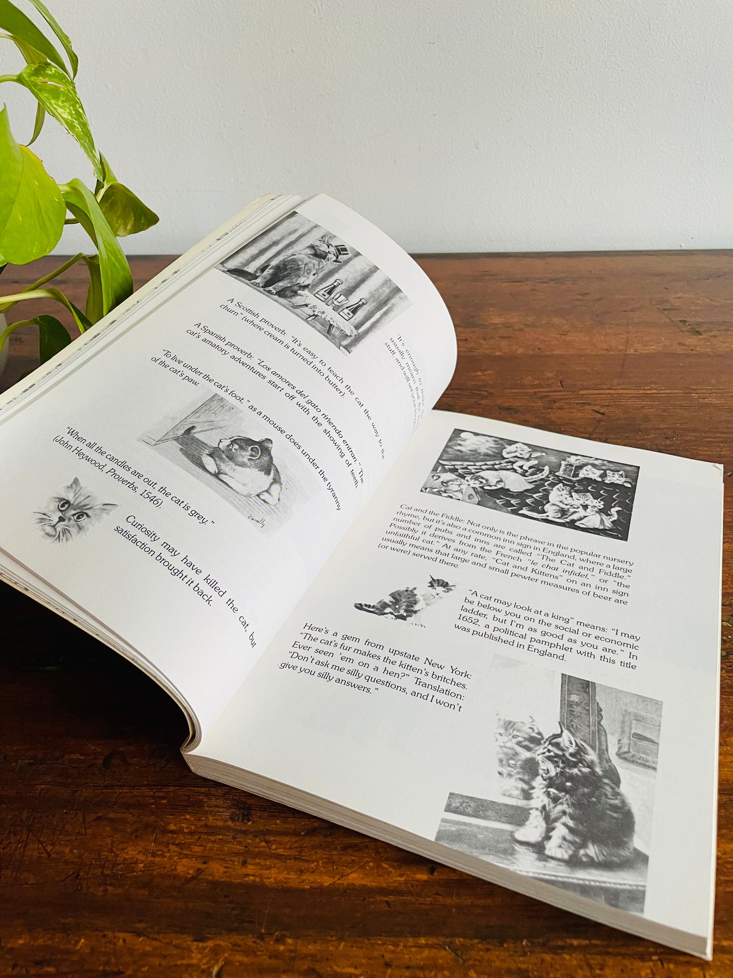 The Cat's Pajamas: A Charming and Clever Compendium of Feline Trivia by Leonore Fleischer Paperback Book (1982)