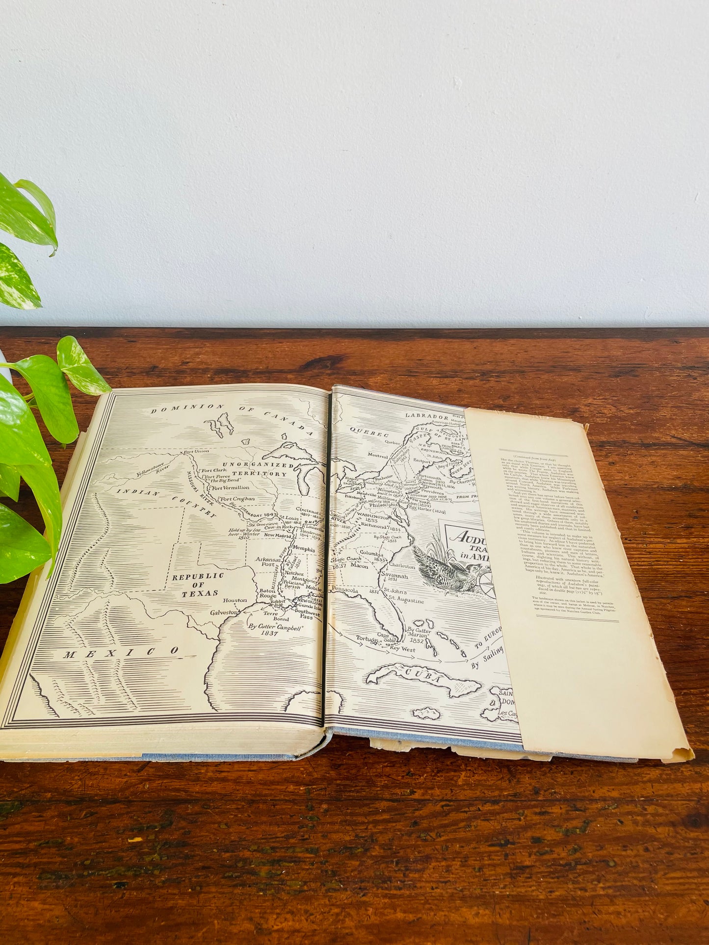 Audubon's America Edited by Donald Culross Peattie - Clothbound Hardcover Book (1940)