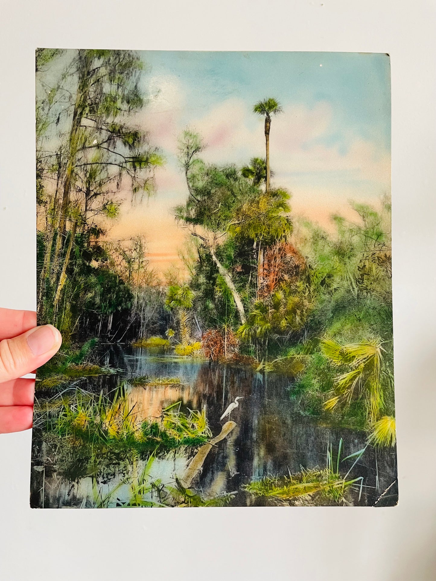 Vintage 1920s/30s Hand-Tinted Photogravure Picture - "On The Ocklawaha River Fla." by William James Harris - Old Florida River with Egret Bird