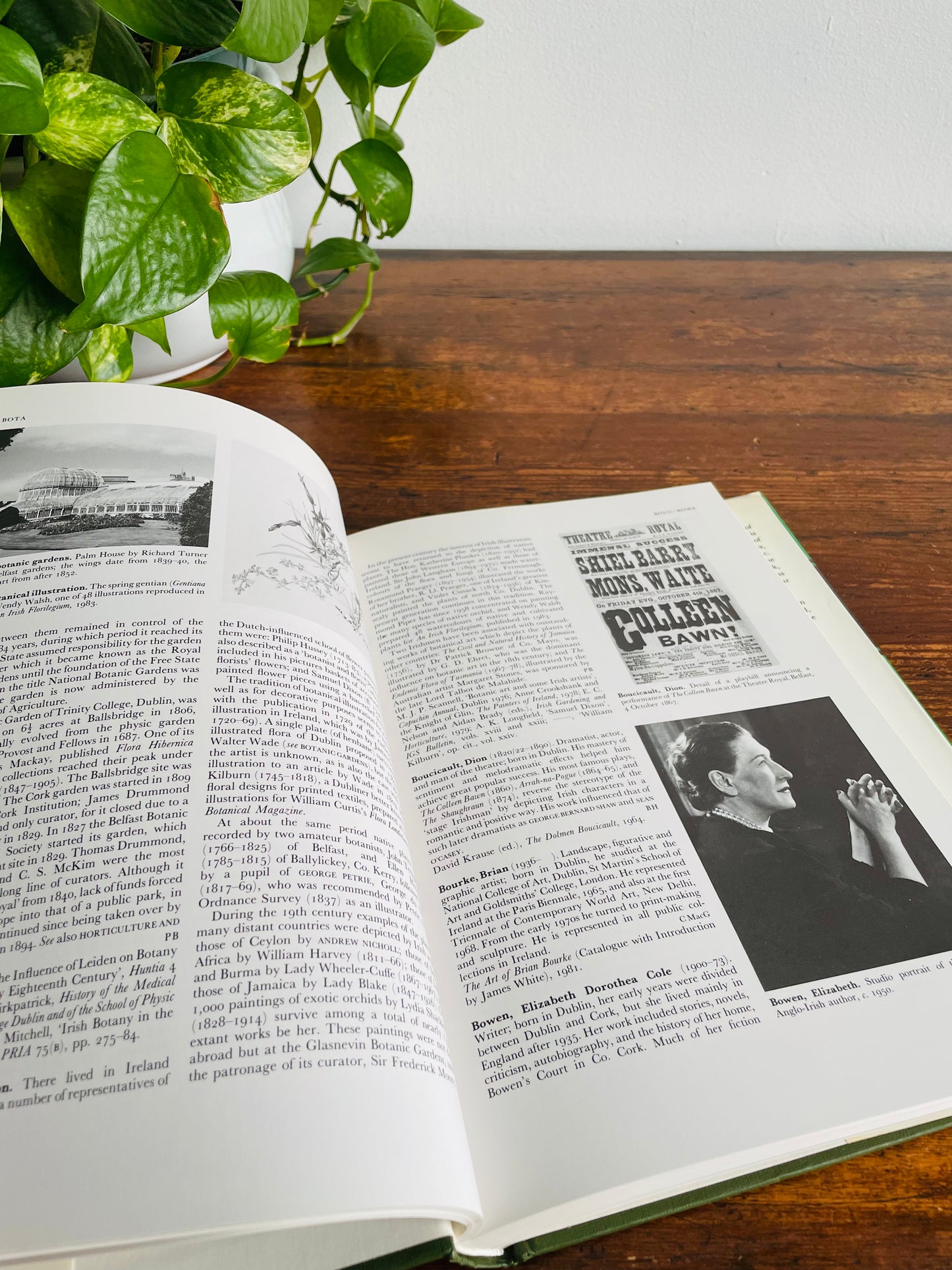 Ireland: A Cultural Encyclopedia Hardcover Book (1983)