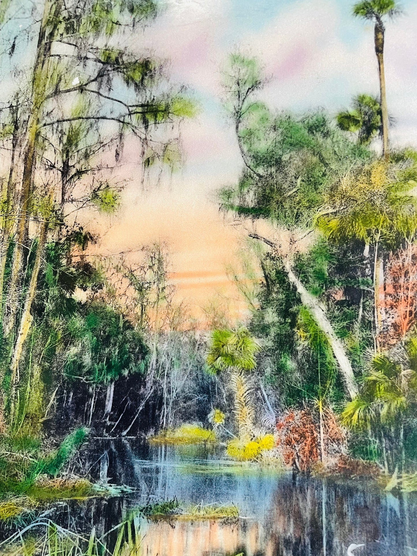 Vintage 1920s/30s Hand-Tinted Photogravure Picture - "On The Ocklawaha River Fla." by William James Harris - Old Florida River with Egret Bird