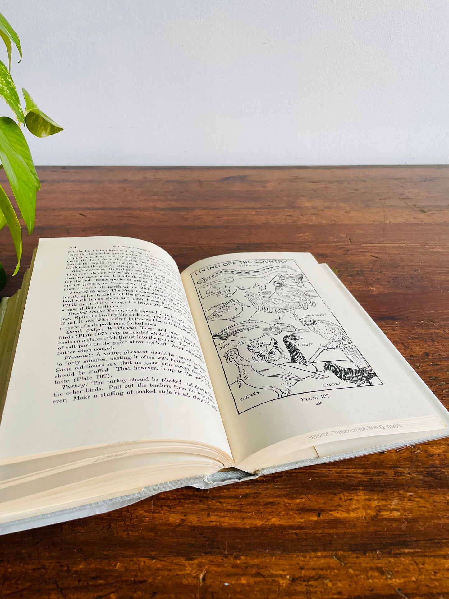 Wildwood Wisdom by Ellsworth Jaeger Hardcover Book (1971) - Camping & Woodsmanship Guide