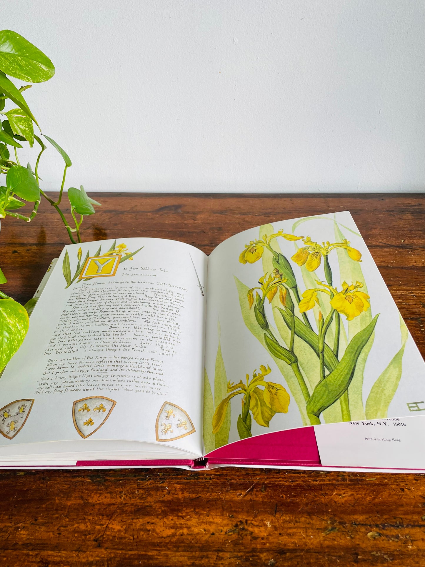 Vintage A Wild Flower Alphabet Hardcover Book by Elizabeth Cameron (1984) - Gorgeous Illustrations!