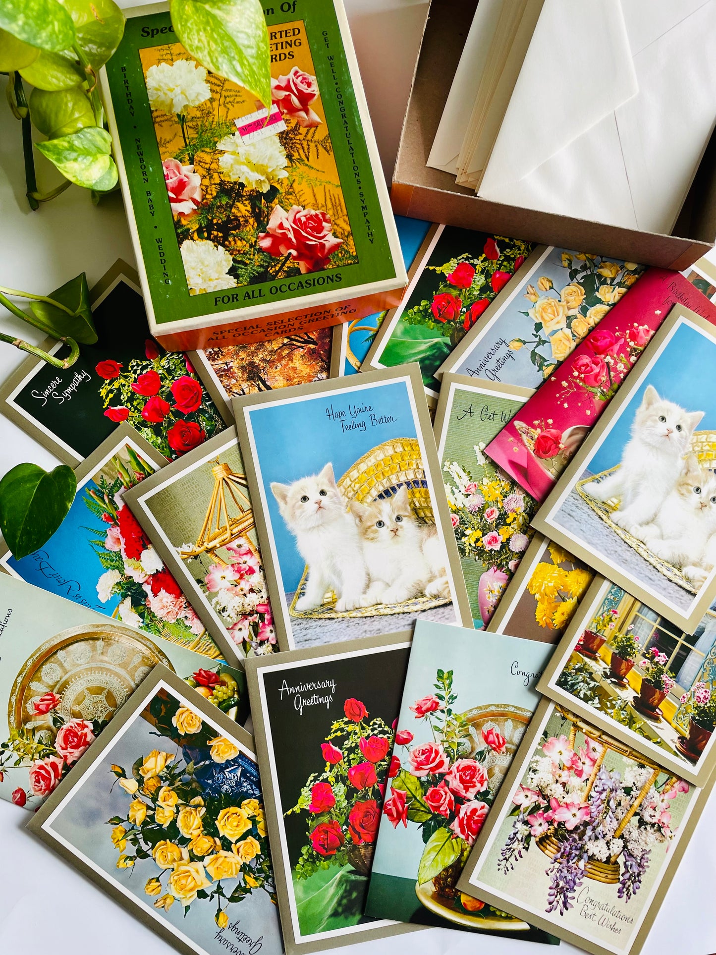 Vintage Box of Unused Assorted Greeting Cards for All Occasions - Floral, Kitten & Nature Theme - Set of 18 with Envelopes