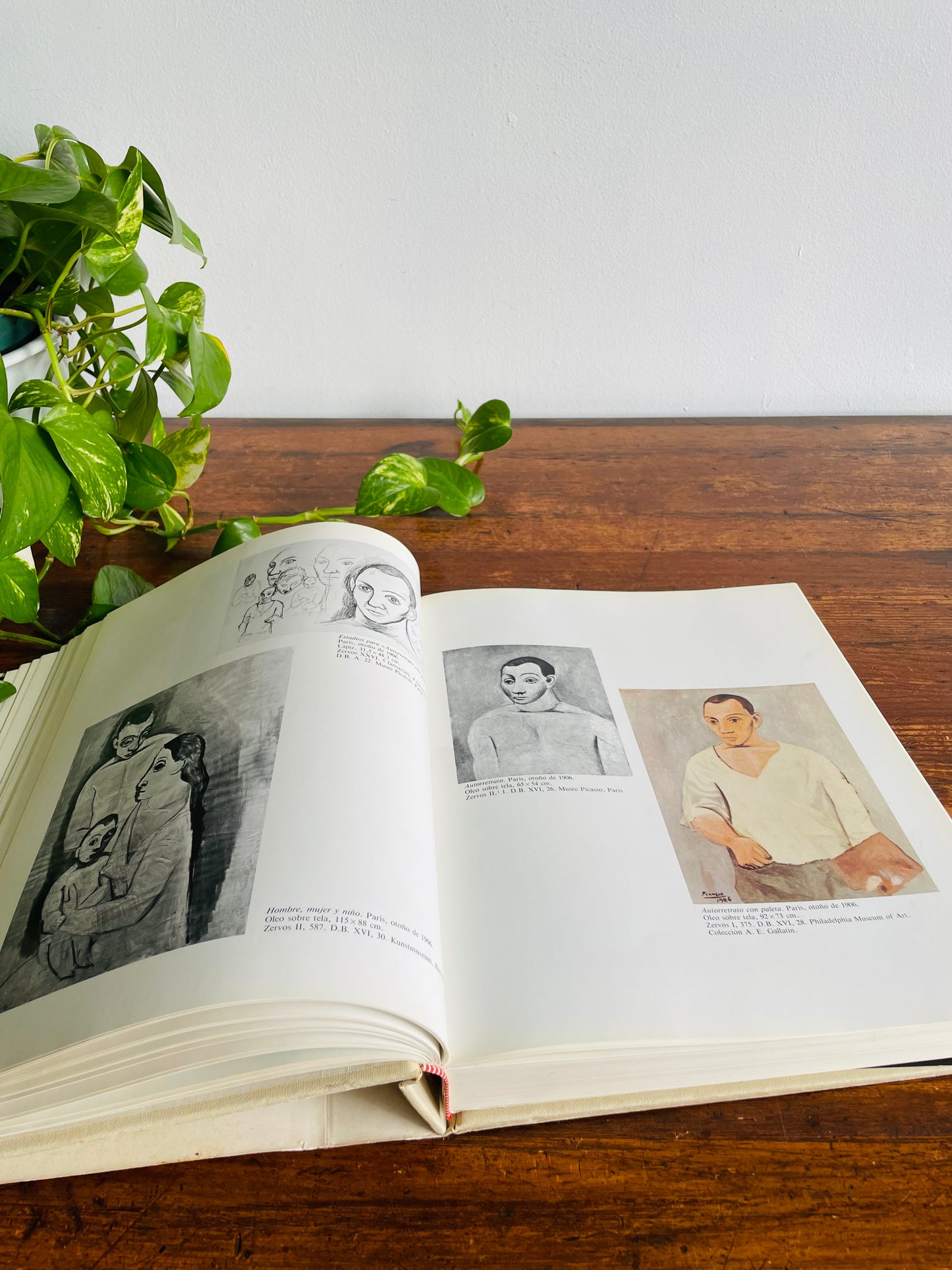 Pablo Picasso Retrospectiva Giant Hardcover Coffee Table Book - The Museum of Modern Art New York - Spanish Text (1980)