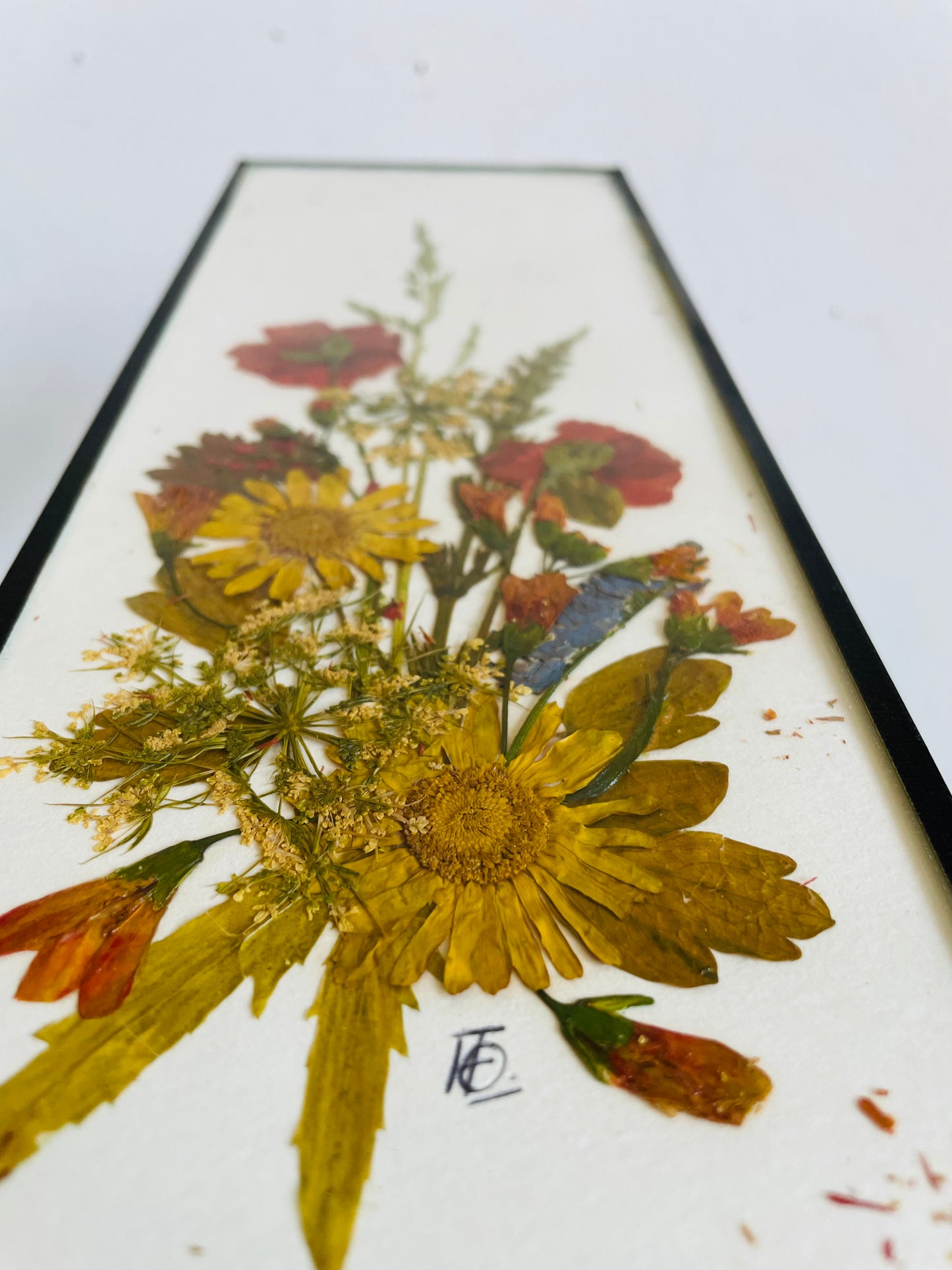 Vintage Canadian Wildflowers Meadowcharm Pressed Dried Flowers Picture - Artist Signed - Made in Canada
