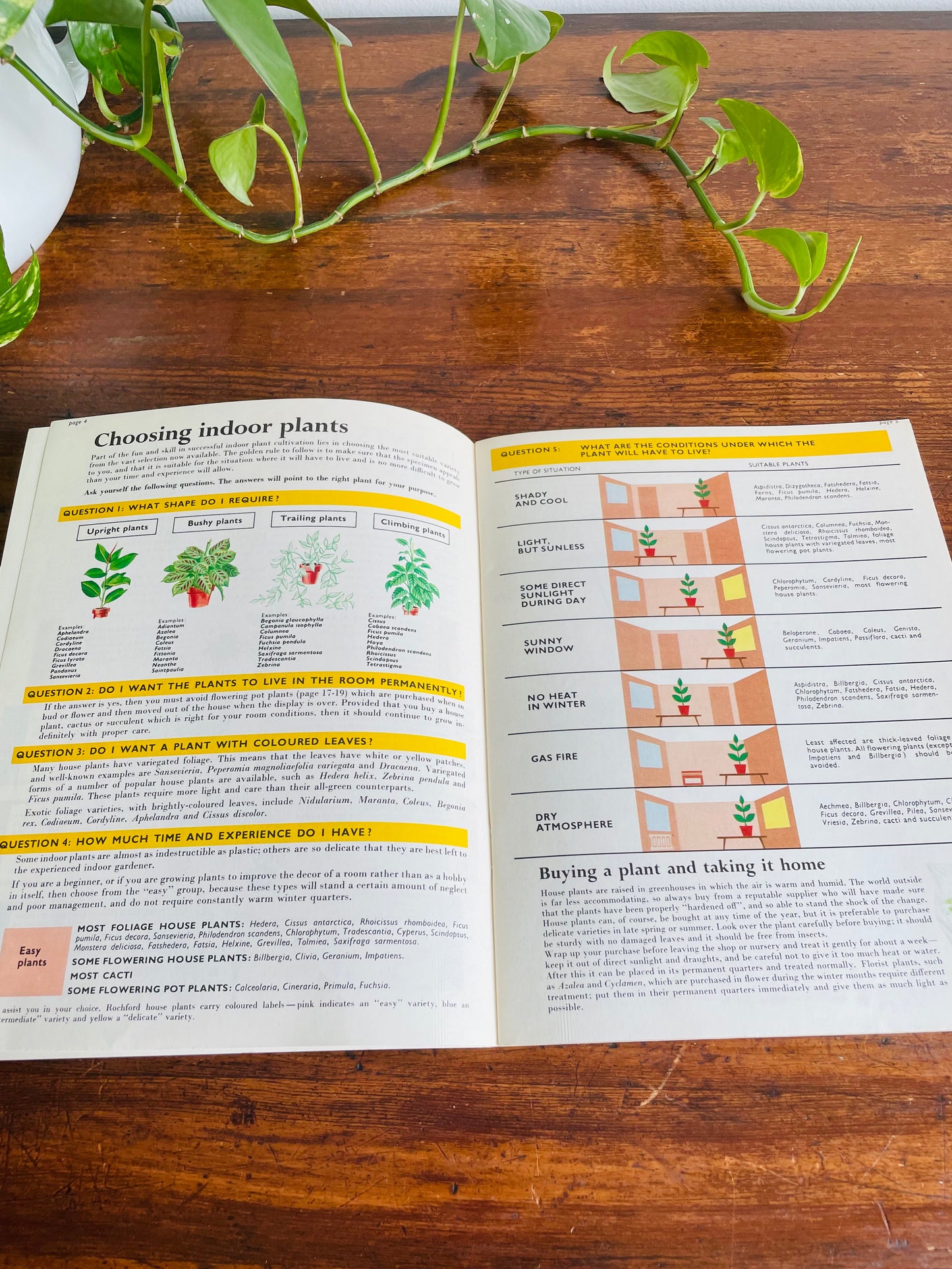 Be Your Own House Plant Expert Book by Dr. D.G. Hessayon (1975)