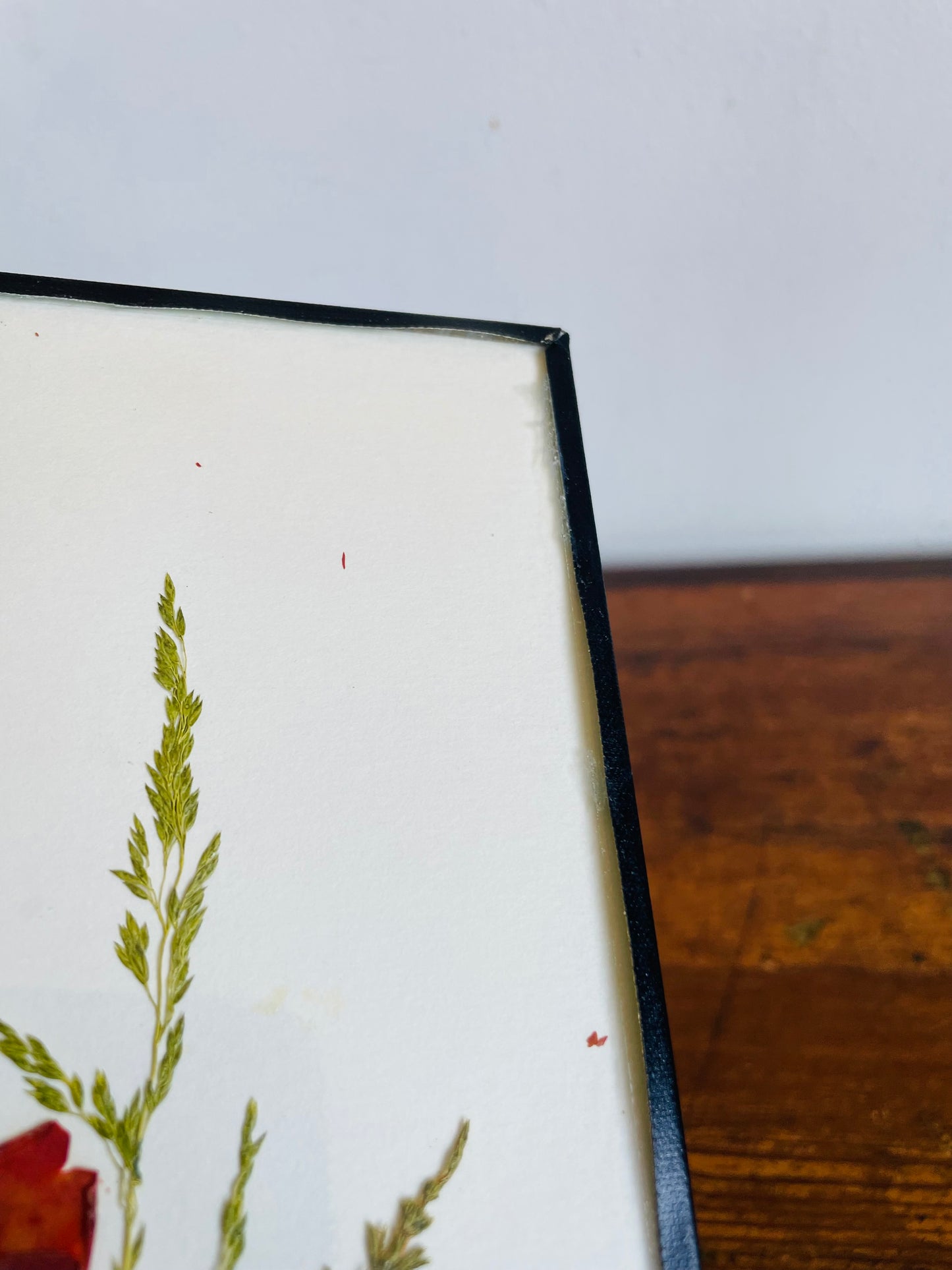 Vintage Canadian Wildflowers Meadowcharm Pressed Dried Flowers Picture - Artist Signed - Made in Canada