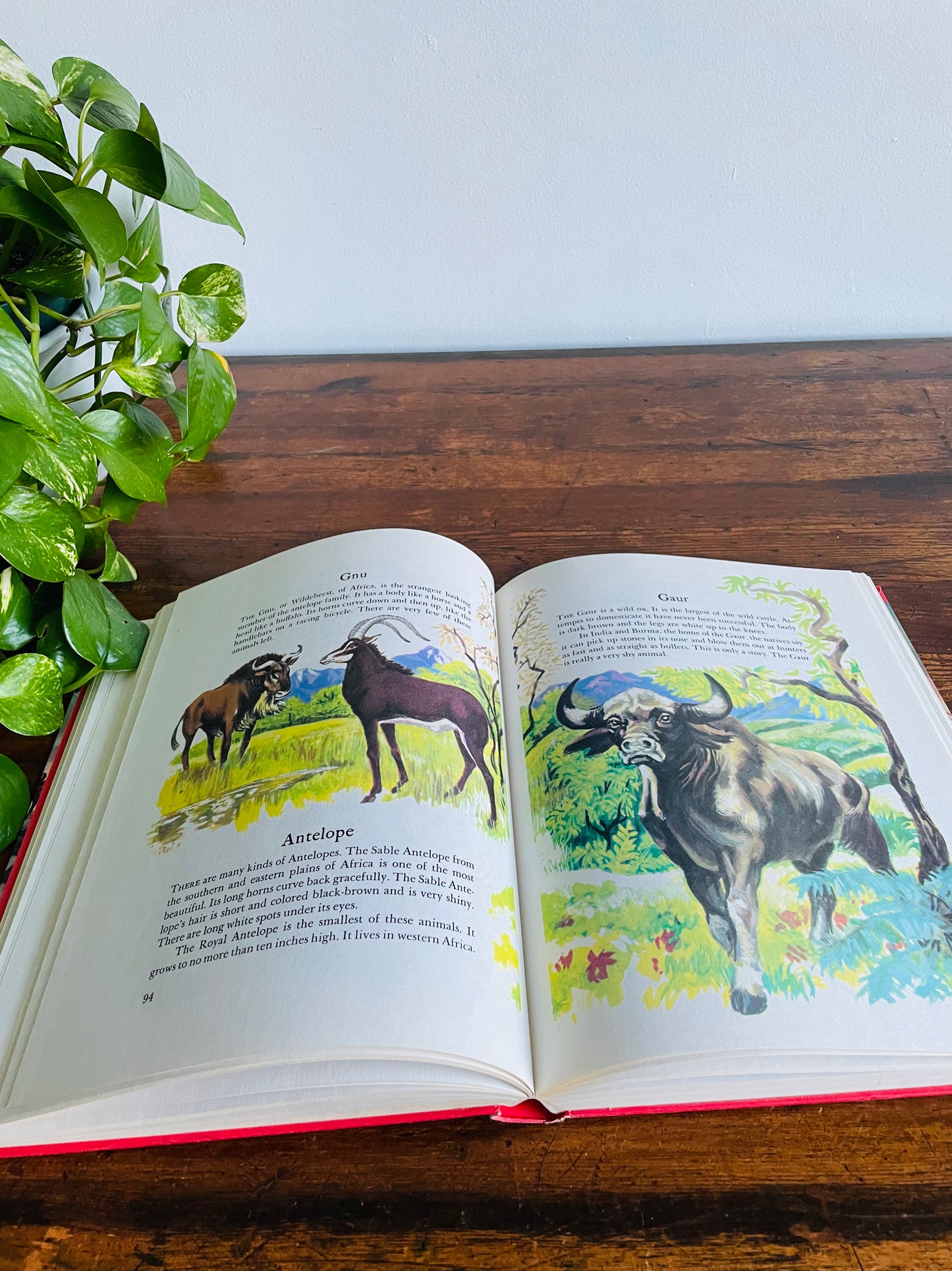 Wonders of Nature: A Child's Introduction to the World of Animals, Plants, Birds, Fish & Insects Hardcover Book by Parents' Magazine Press (1974)