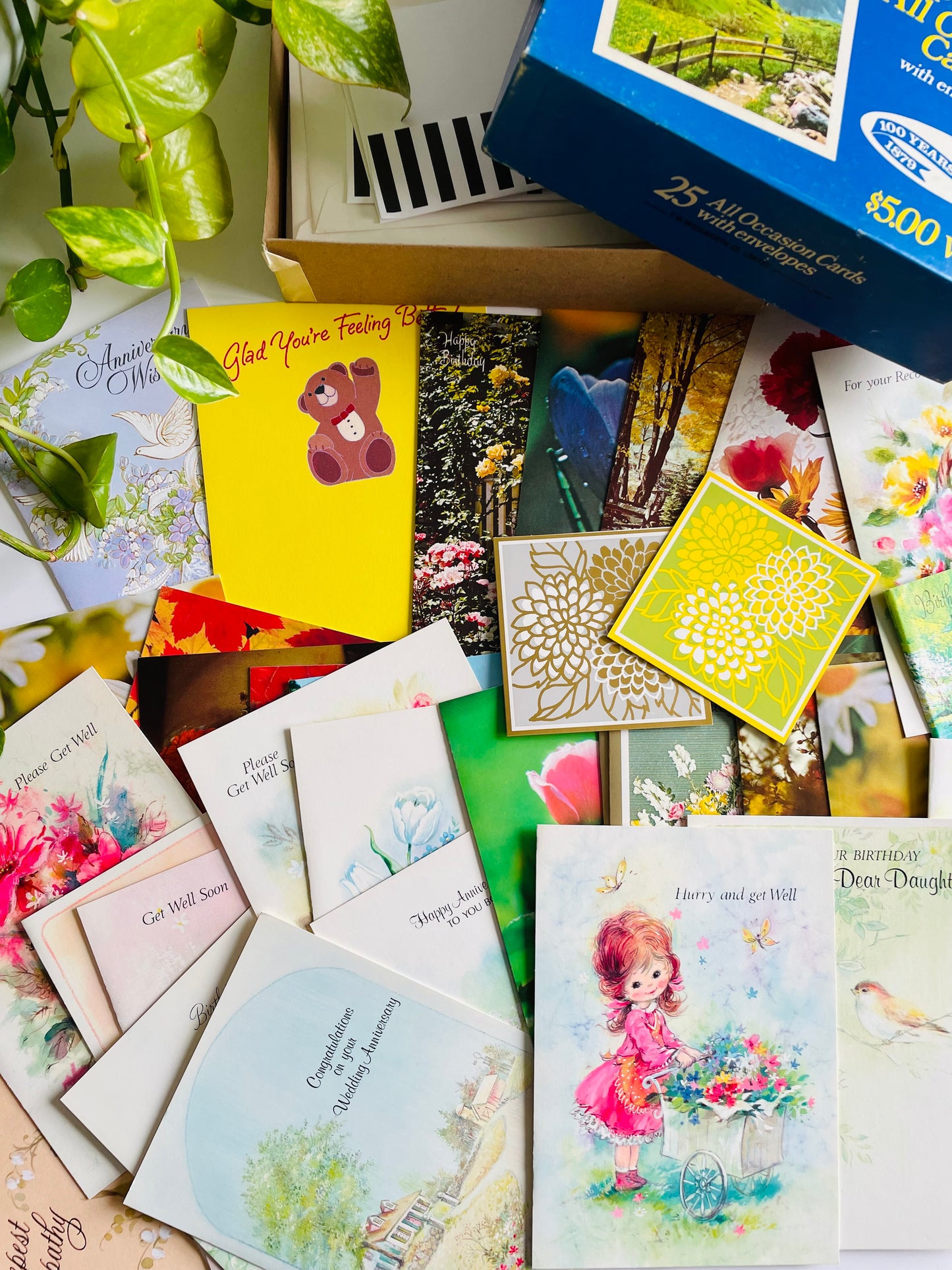 Vintage Box of Unused Assorted Greeting Cards for All Occasions - Set of 34 with Envelopes