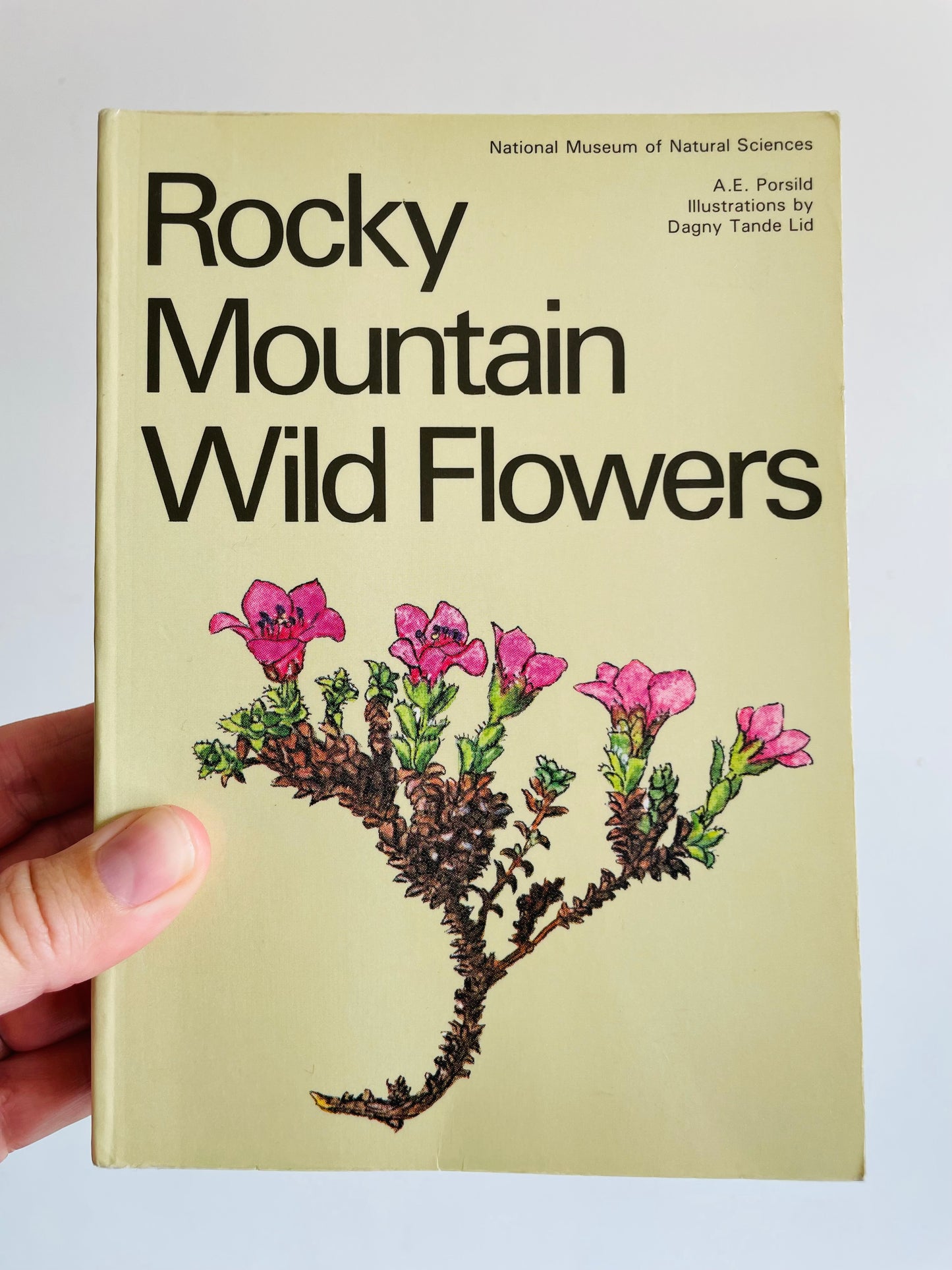 Rocky Mountain Wild Flowers Book (1979) By A.E. Porsild with Illustrations by Dagny Tande Lid