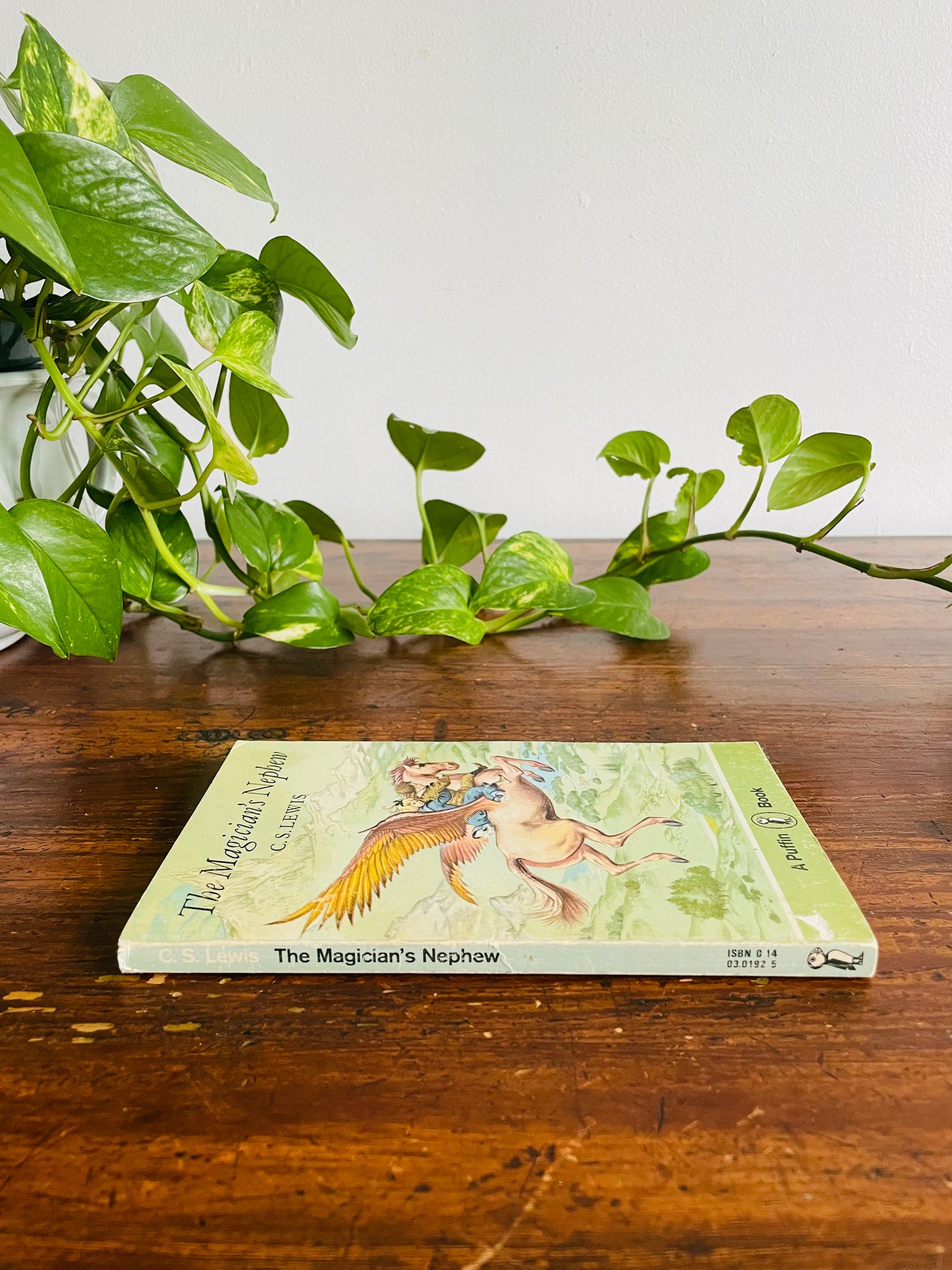 The Magician's Nephew Paperback Puffin Book by C. S. Lewis Illustrated by Pauline Baynes (1978)